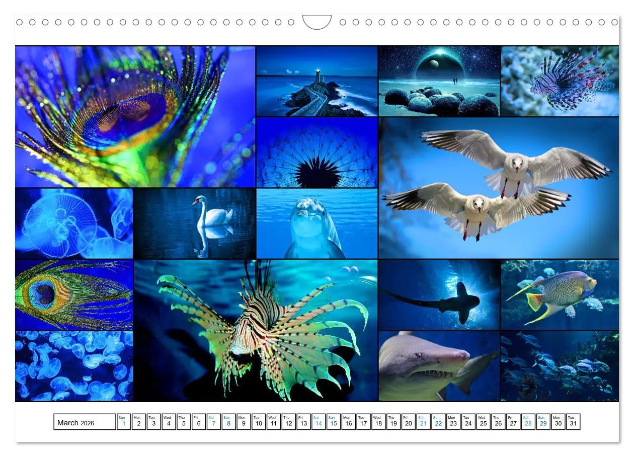 Bild: 9783516554571 | Colour Symphonies of the Earth (Wall Calendar 2026 DIN A3...