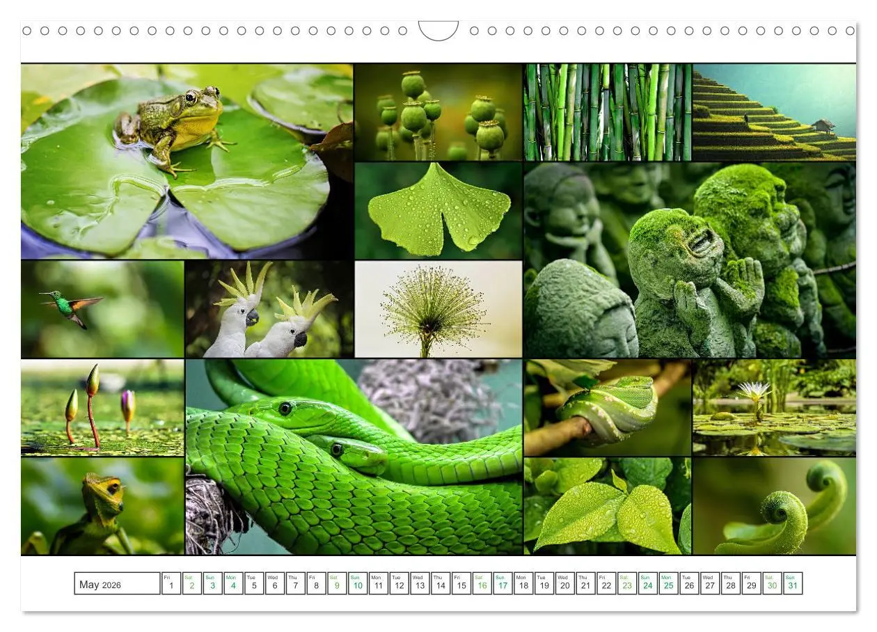 Bild: 9783516554571 | Colour Symphonies of the Earth (Wall Calendar 2026 DIN A3...