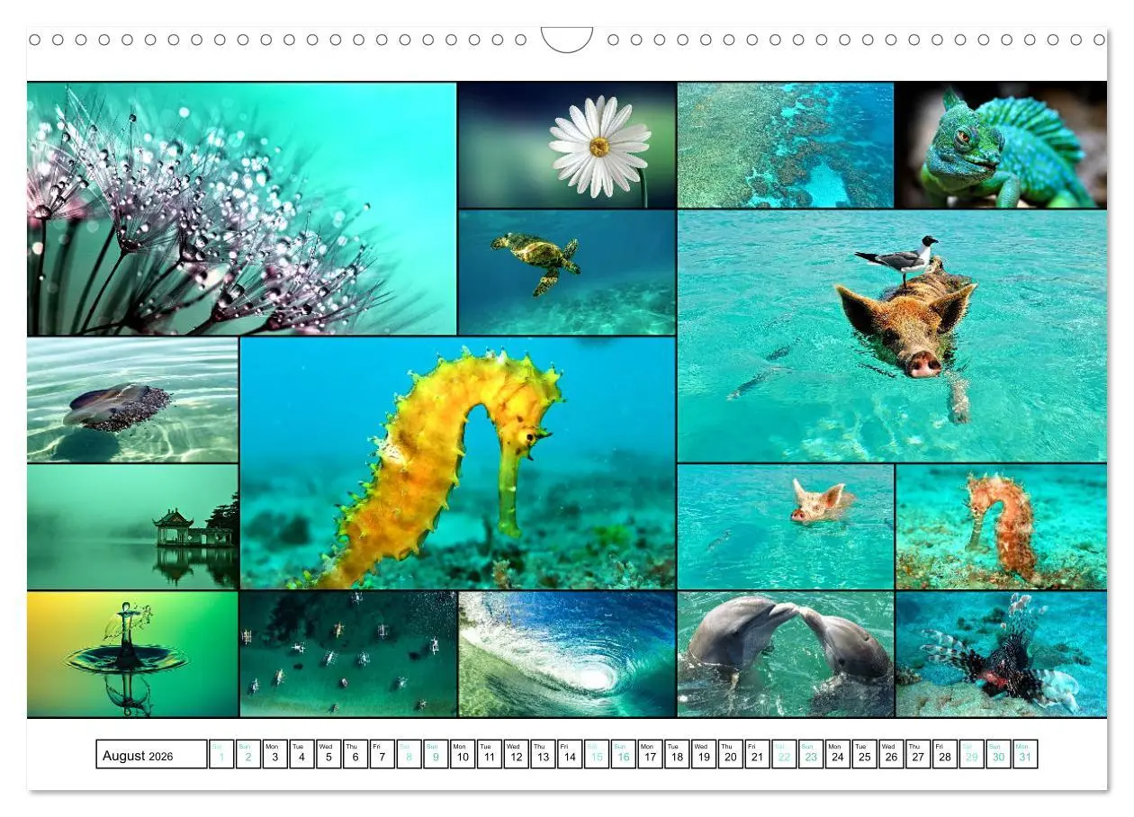 Bild: 9783516554571 | Colour Symphonies of the Earth (Wall Calendar 2026 DIN A3...