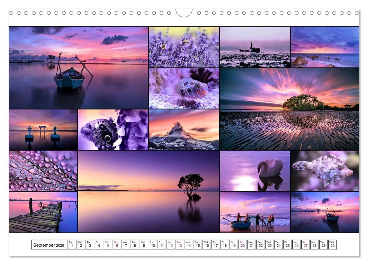 Bild: 9783516554571 | Colour Symphonies of the Earth (Wall Calendar 2026 DIN A3...