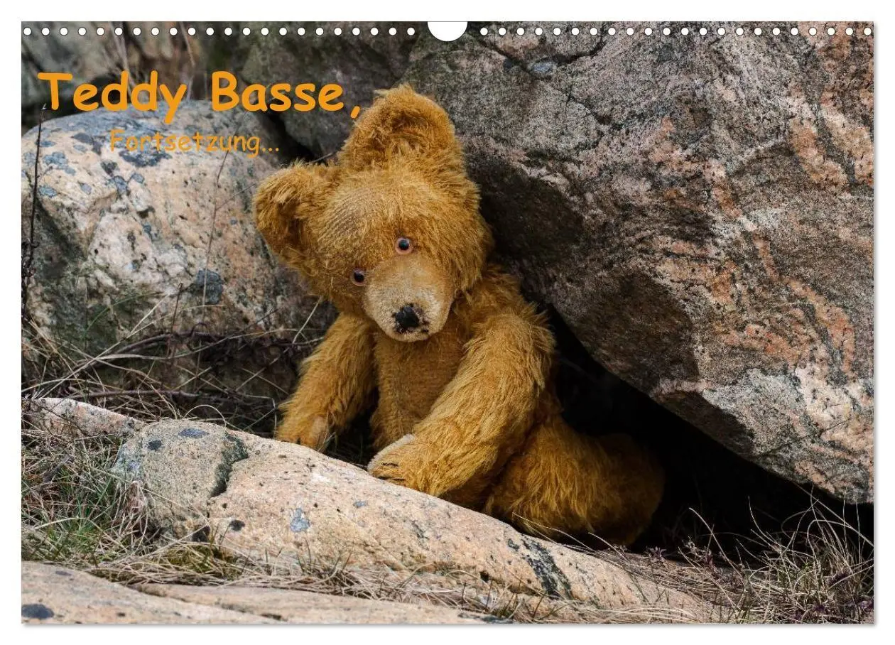 Cover: 9783594084571 | Teddy Basse, Fortsetzung... (Wandkalender 2027 DIN A3 quer),...