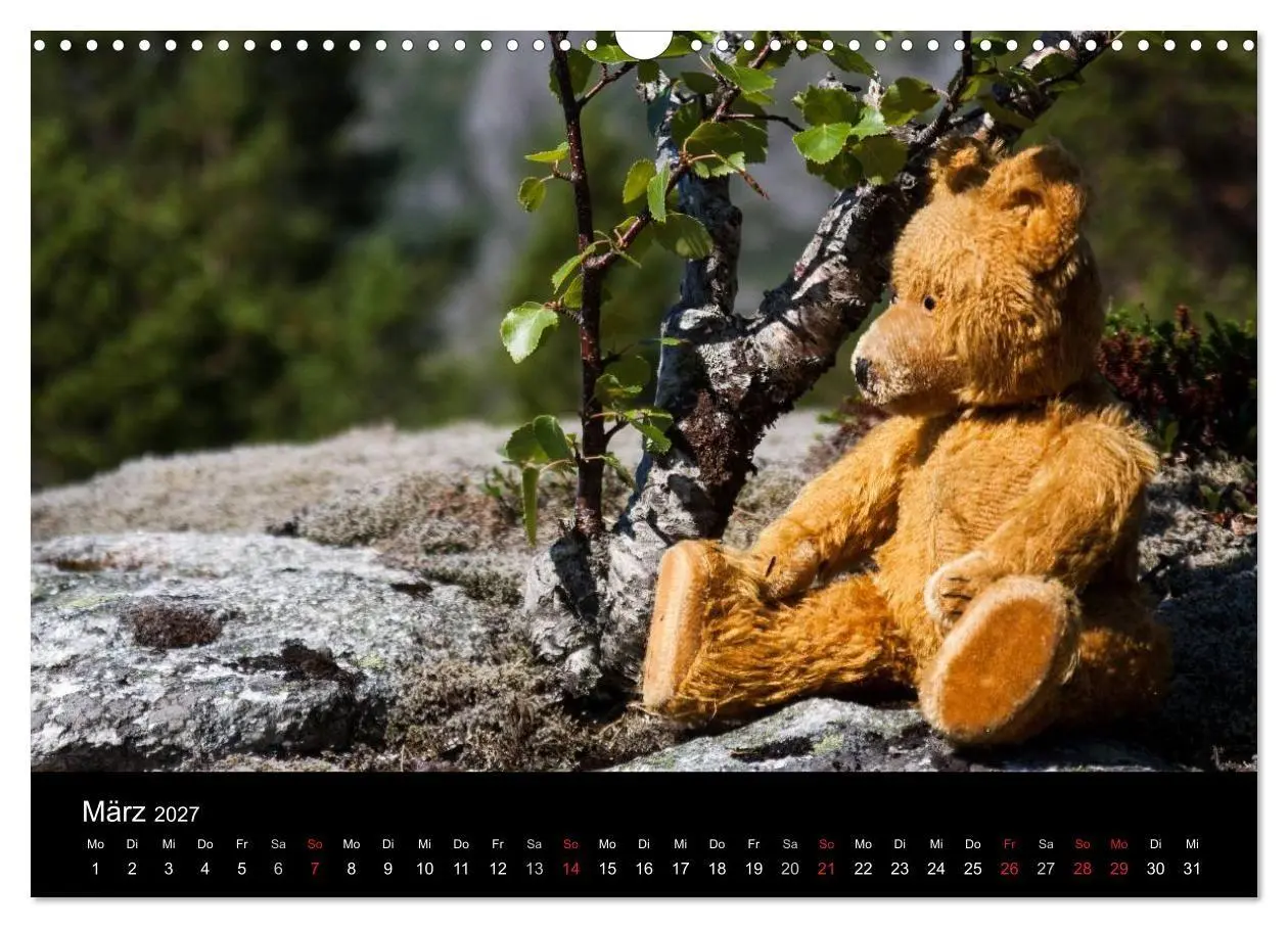 Bild: 9783594084571 | Teddy Basse, Fortsetzung... (Wandkalender 2027 DIN A3 quer),...