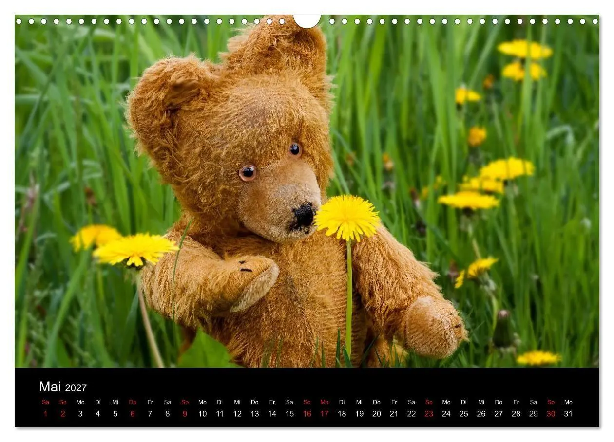 Bild: 9783594084571 | Teddy Basse, Fortsetzung... (Wandkalender 2027 DIN A3 quer),...
