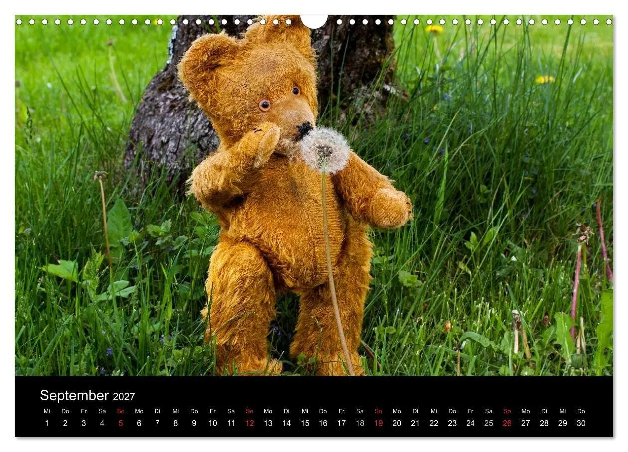 Bild: 9783594084571 | Teddy Basse, Fortsetzung... (Wandkalender 2027 DIN A3 quer),...