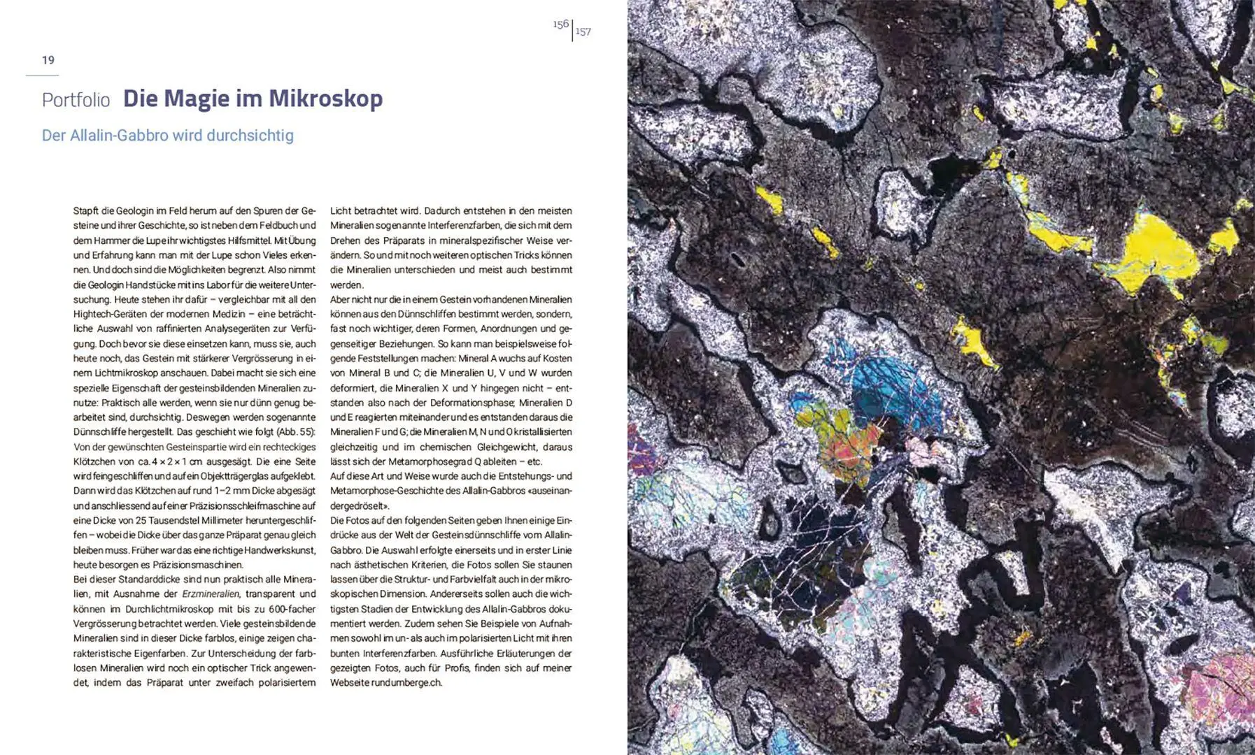 Bild: 9783258084671 | Das schönste Gestein der Welt | Jürg Meyer | Buch | 240 S. | Deutsch