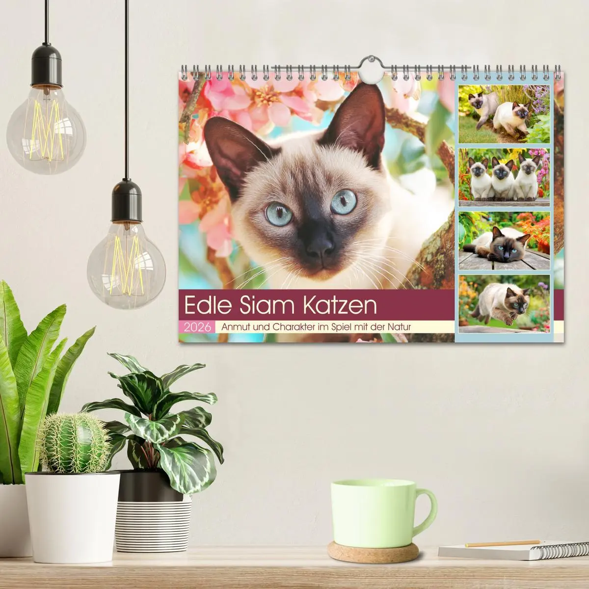 Bild: 9783516094671 | Edle Siamkatzen. Anmut und Charakter im Spiel mit der Natur...