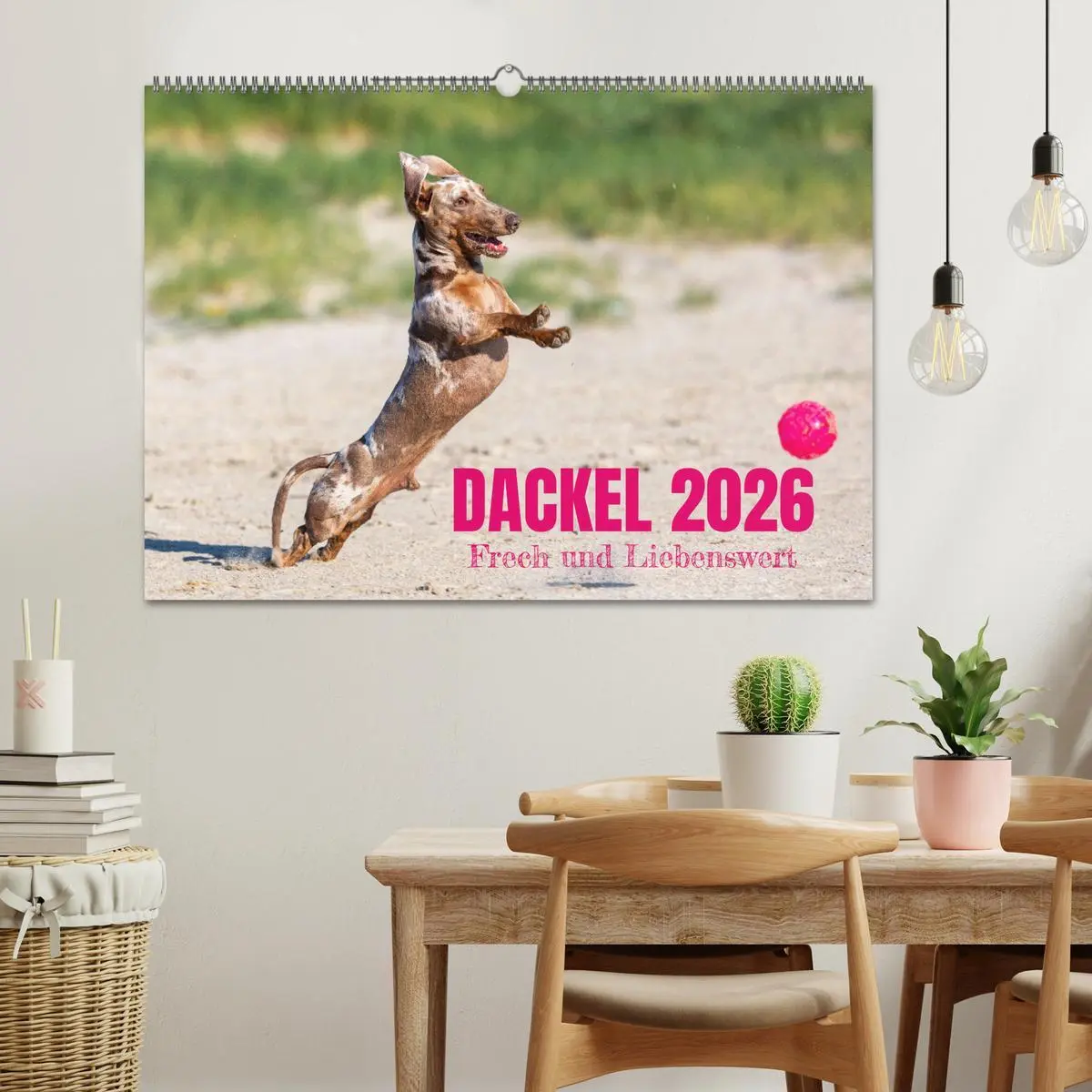 Bild: 9783516164671 | DACKEL 2026 Frech und Liebenwert (Wandkalender 2026 DIN A2 quer),...