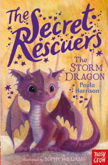 Cover: 9780857634771 | The Secret Rescuers: The Storm Dragon | Paula Harrison | Taschenbuch