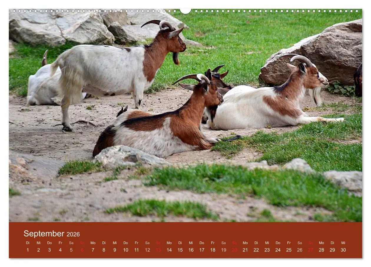 Bild: 9783457994771 | Königstein im Taunus und Umgebung (Wandkalender 2026 DIN A2 quer),...