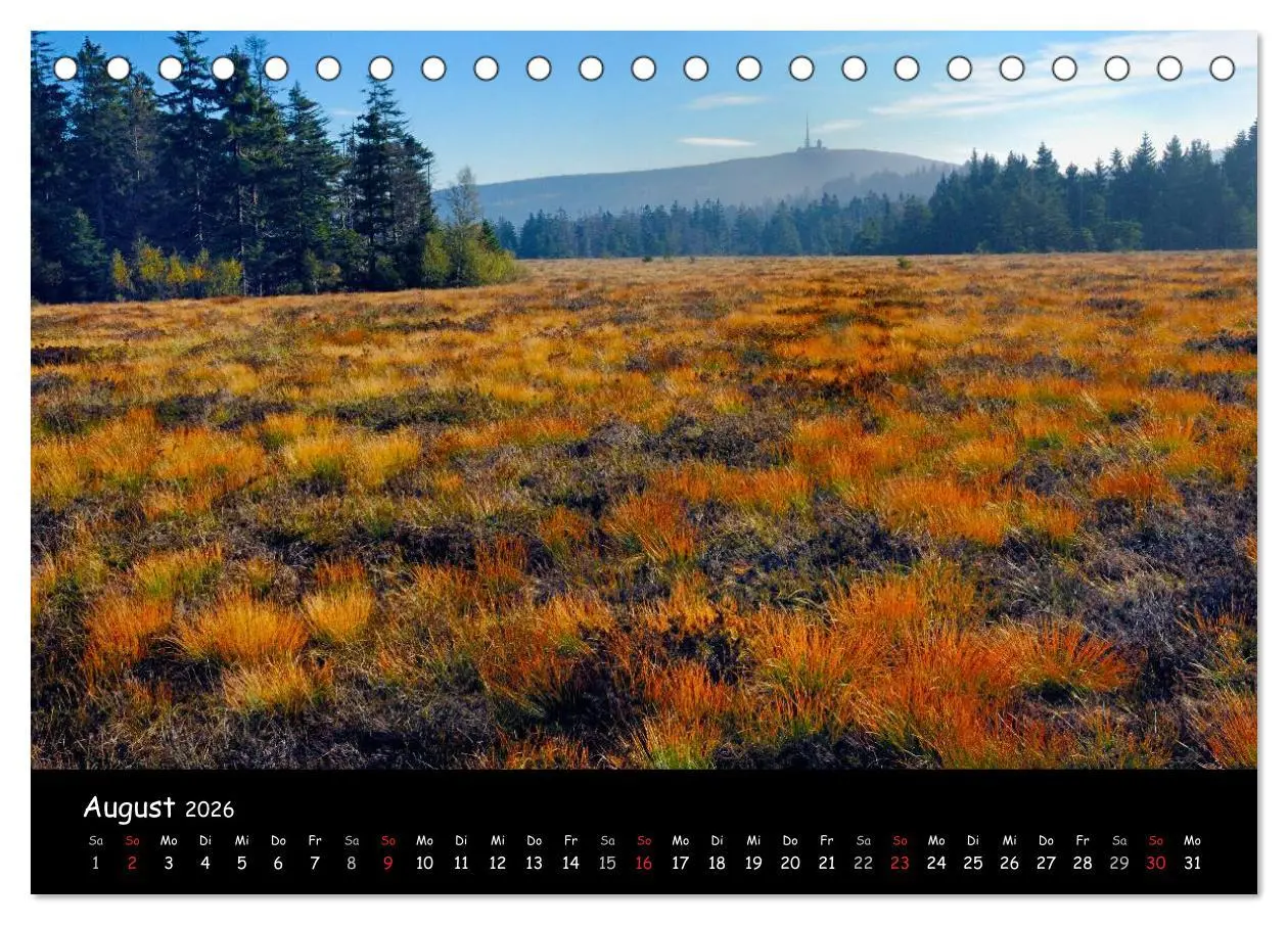 Bild: 9783516074871 | Faszination Harz 2026 (Tischkalender 2026 DIN A5 quer), CALVENDO...