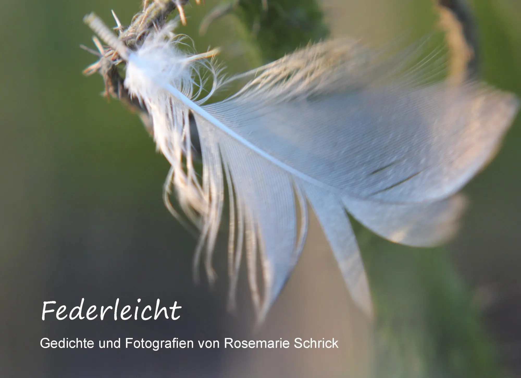 Cover: 9783735794871 | Federleicht | Gedichte und Fotografien von Rosemarie Schrick | Schrick