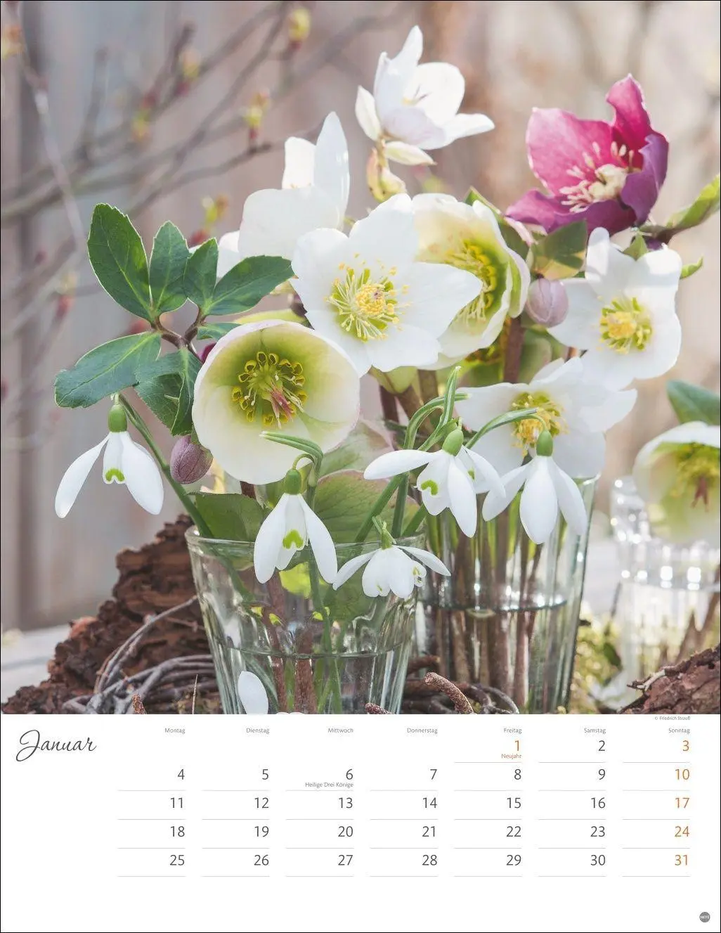 Bild: 9783756414871 | Bunter Blütenzauber Posterkalender 2027 | Heye | Kalender | 14 S.