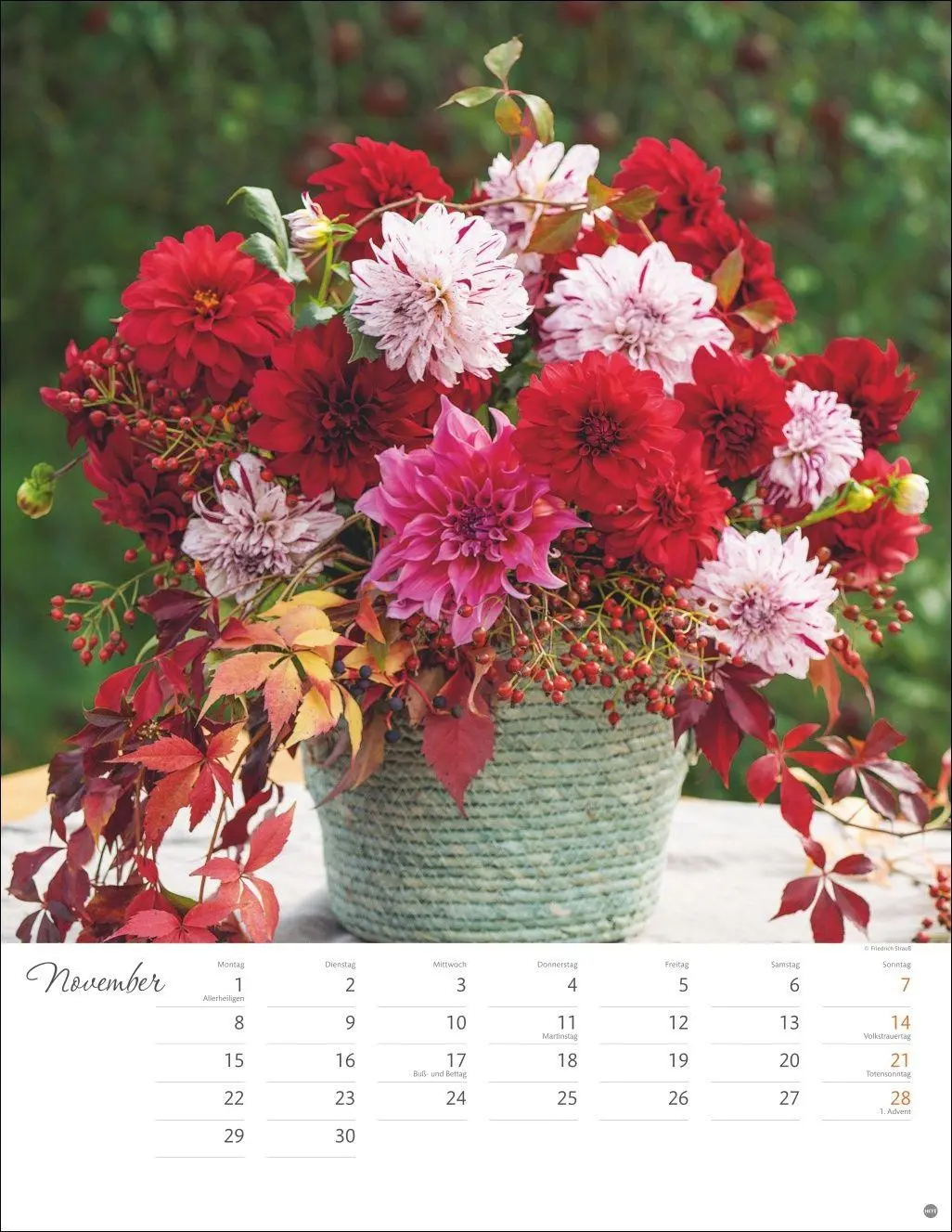 Bild: 9783756414871 | Bunter Blütenzauber Posterkalender 2027 | Heye | Kalender | 14 S.