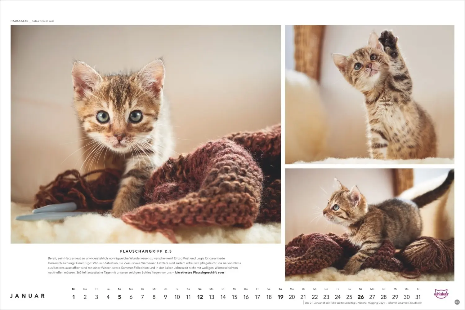 Bild: 9783756404971 | Whiskas Katzenkalender 2025 | Kalender | Spiralbindung | Kalender