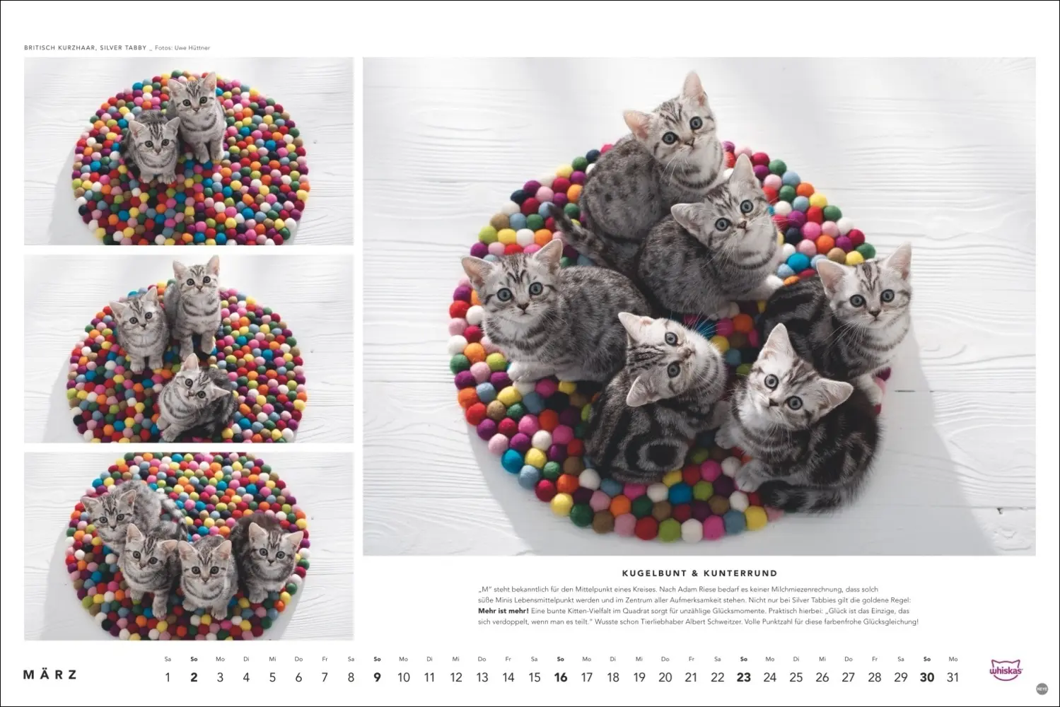 Bild: 9783756404971 | Whiskas Katzenkalender 2025 | Kalender | Spiralbindung | Kalender