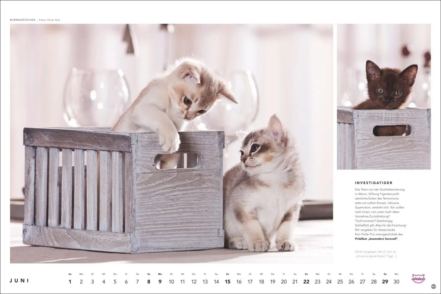 Bild: 9783756404971 | Whiskas Katzenkalender 2025 | Kalender | Spiralbindung | Kalender