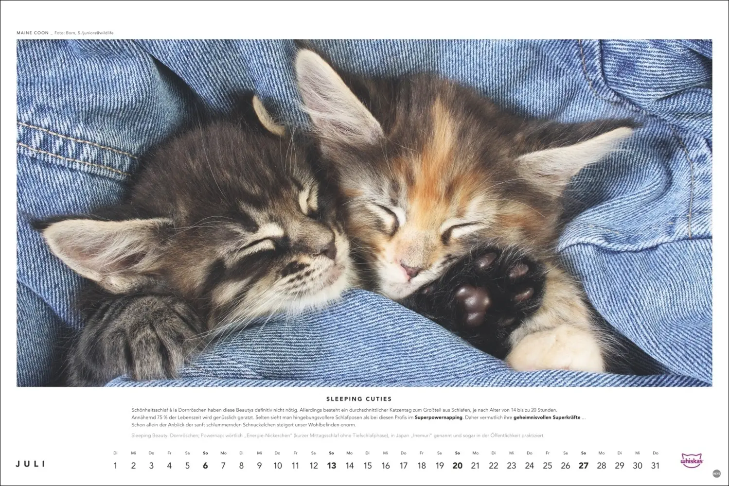 Bild: 9783756404971 | Whiskas Katzenkalender 2025 | Kalender | Spiralbindung | Kalender