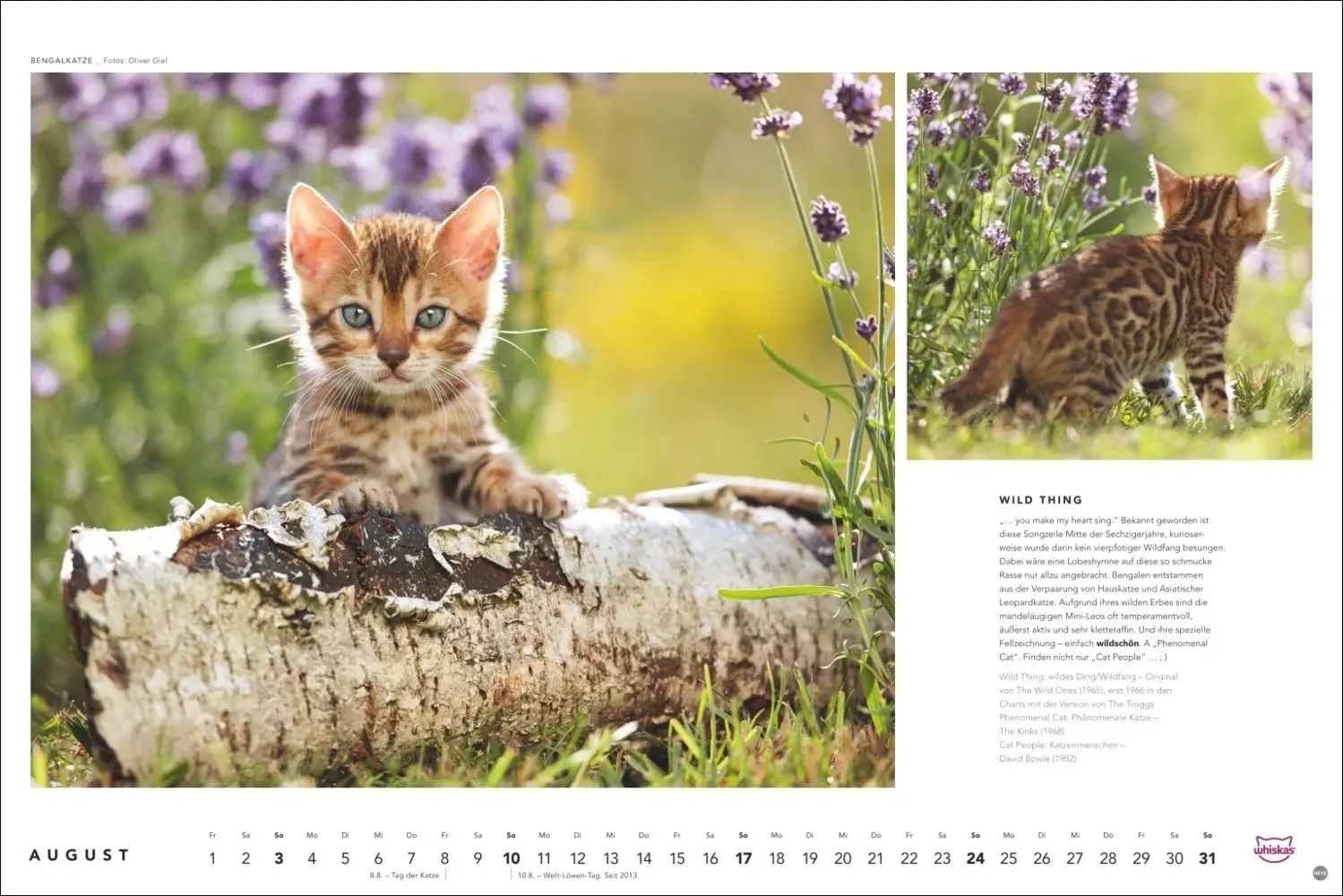 Bild: 9783756404971 | Whiskas Katzenkalender 2025 | Kalender | Spiralbindung | Kalender