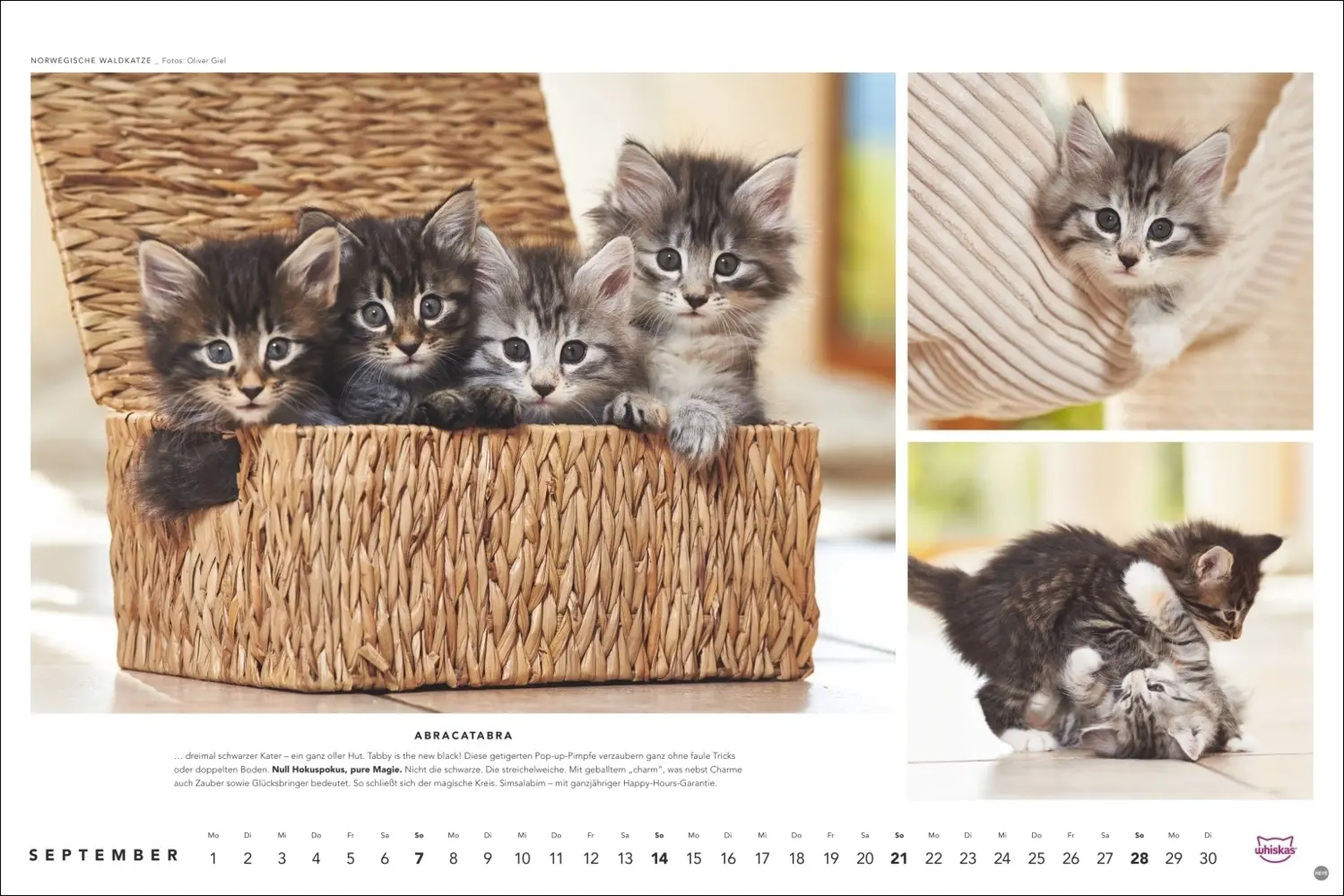 Bild: 9783756404971 | Whiskas Katzenkalender 2025 | Kalender | Spiralbindung | Kalender