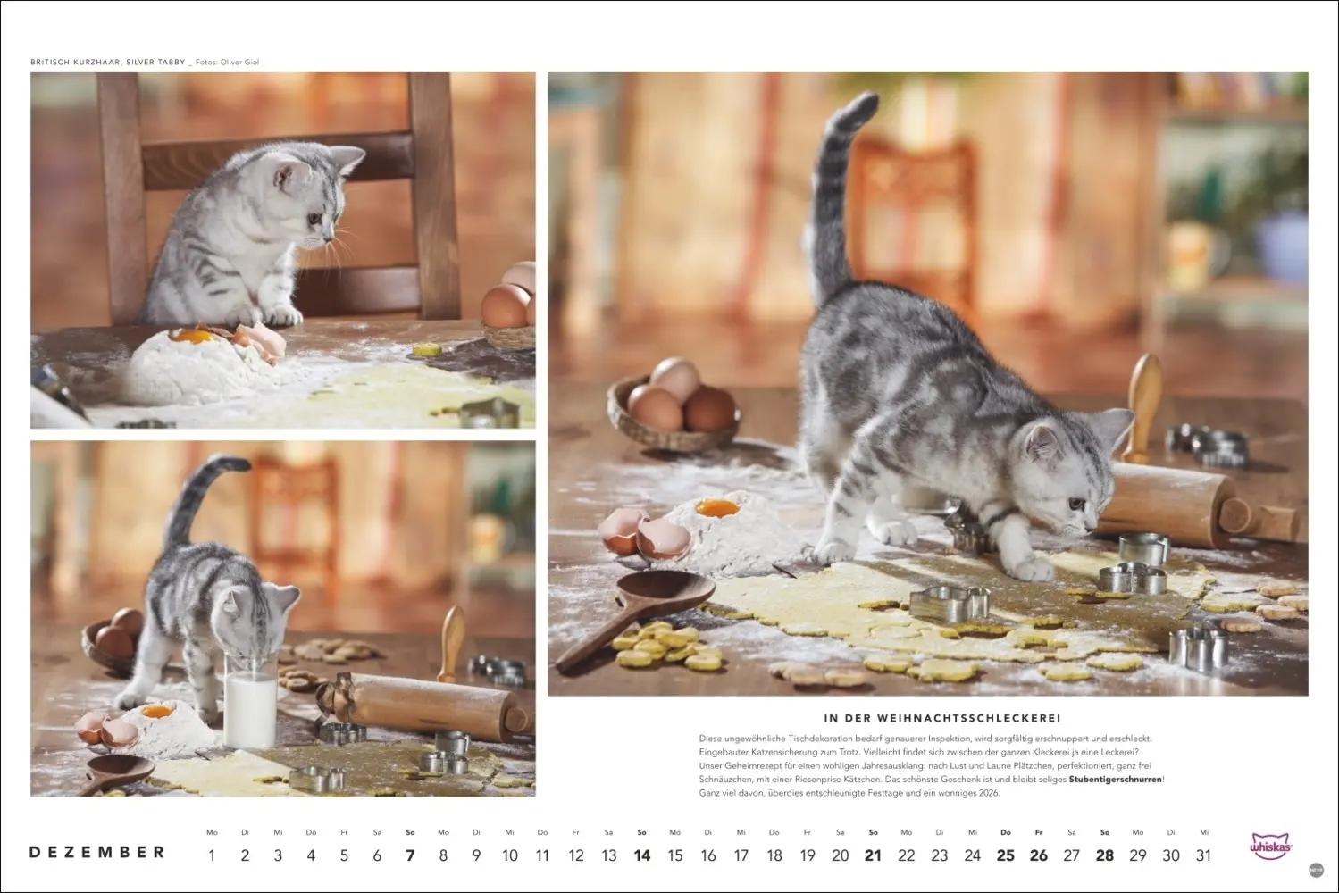 Bild: 9783756404971 | Whiskas Katzenkalender 2025 | Kalender | Spiralbindung | Kalender