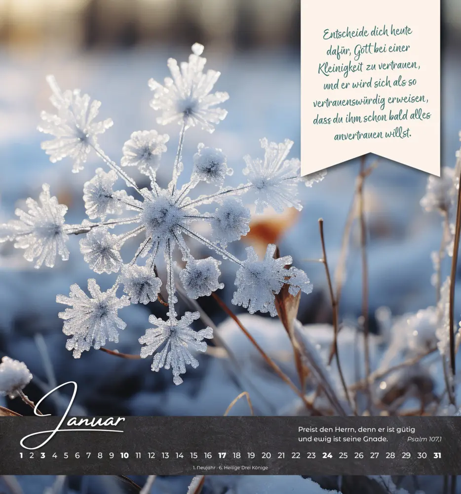 Bild: 9783963624971 | Oasenzeiten 2027 | Wandkalender | Lynn Austin | Kalender | 14 S.