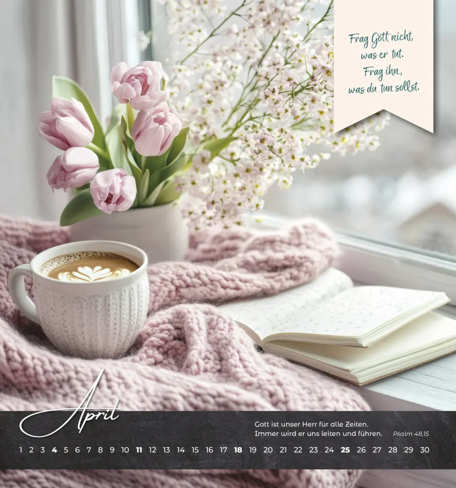 Bild: 9783963624971 | Oasenzeiten 2027 | Wandkalender | Lynn Austin | Kalender | 14 S.