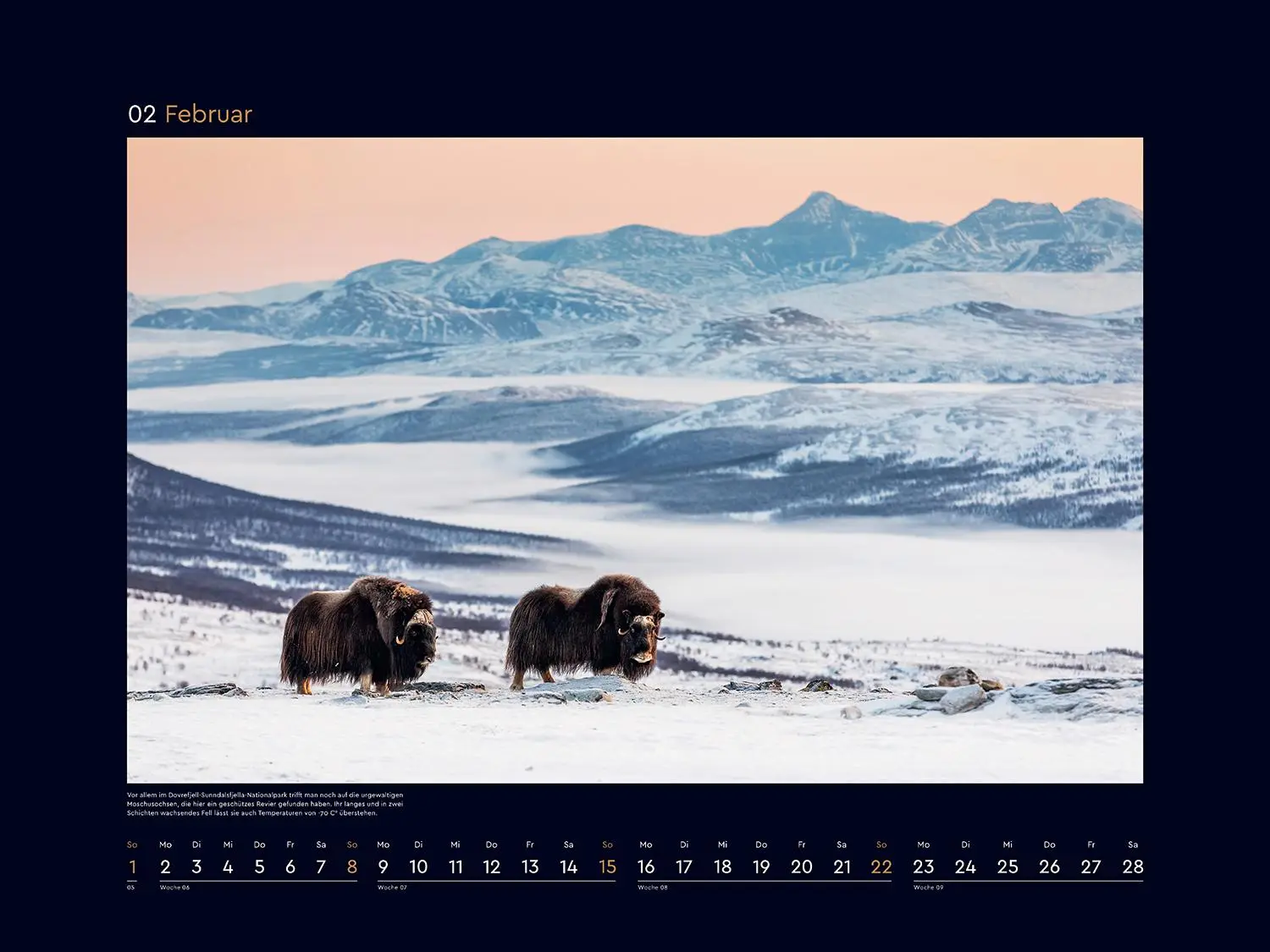 Bild: 9783965914971 | Norwegen - KUNTH Wandkalender 2026 | Kalender | 14 S. | Deutsch | 2026