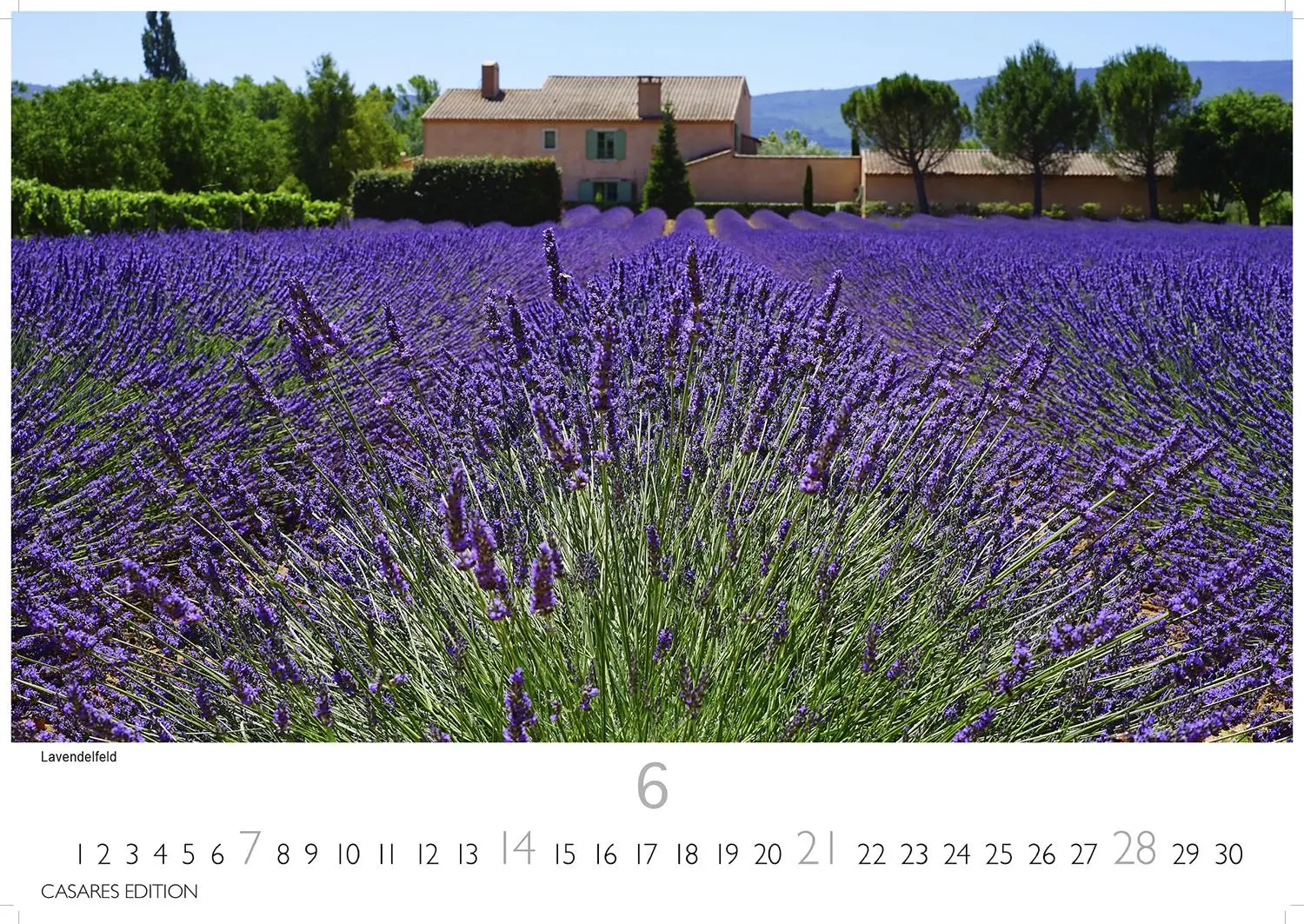 Bild: 9781835245071 | Provence Kalender 2026 35x50cm Grosses Format - Atemberaubende...