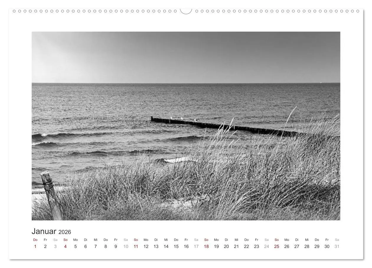 Bild: 9783457935071 | Monochrom Meer (Wandkalender 2026 DIN A2 quer), CALVENDO...
