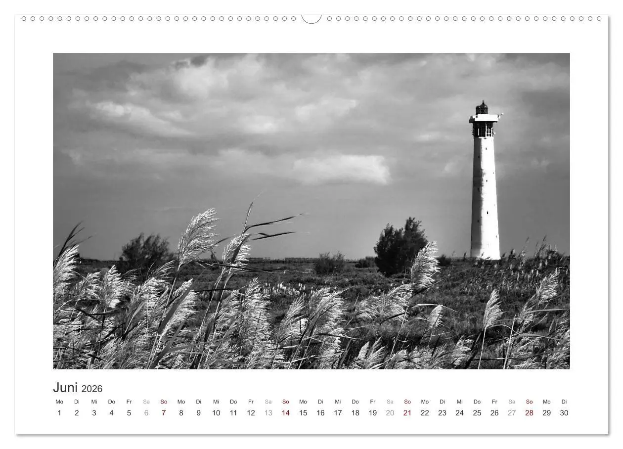 Bild: 9783457935071 | Monochrom Meer (Wandkalender 2026 DIN A2 quer), CALVENDO...