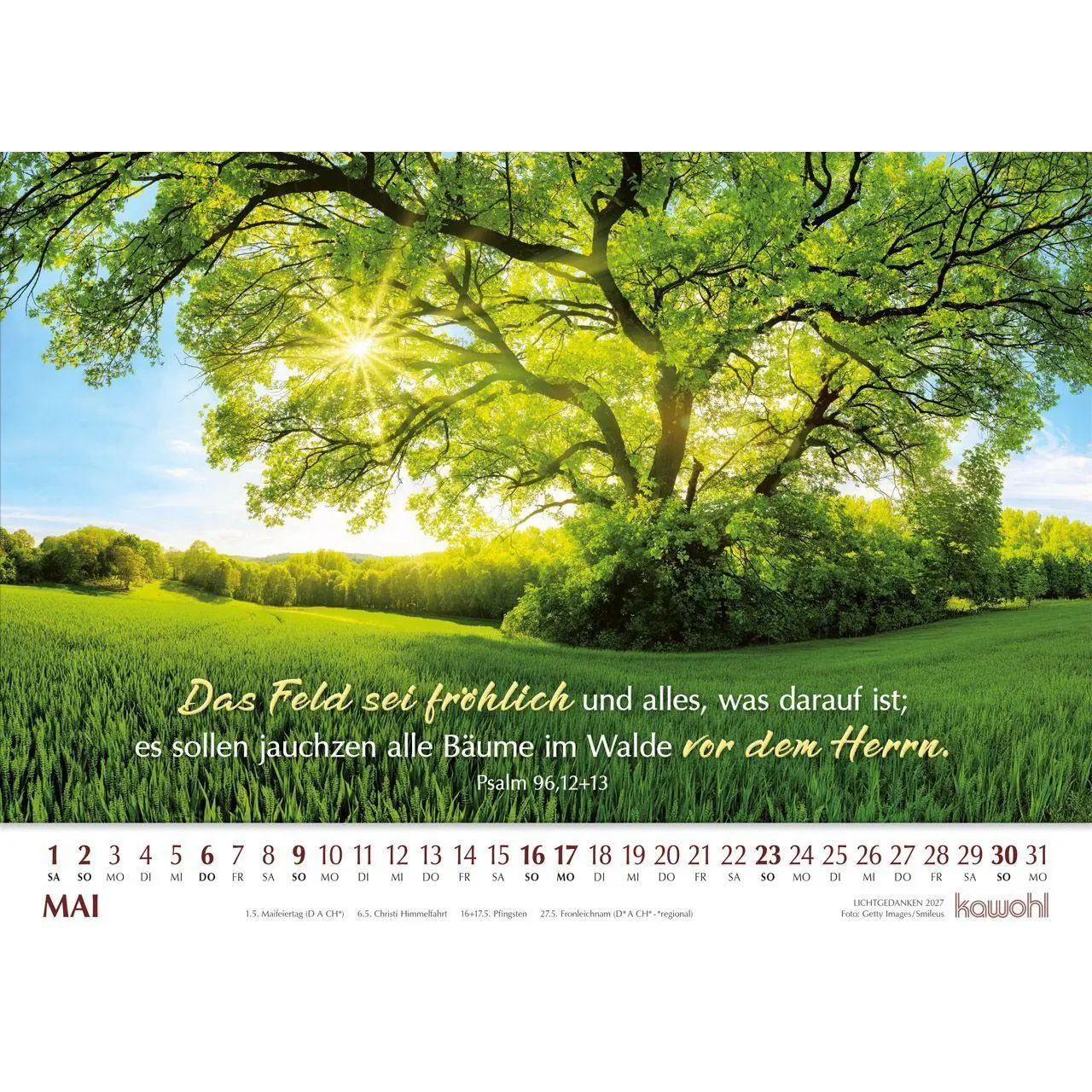 Bild: 9783754865071 | Lichtgedanken 2027 | Kalender | Spiralbindung | 14 S. | Deutsch | 2027