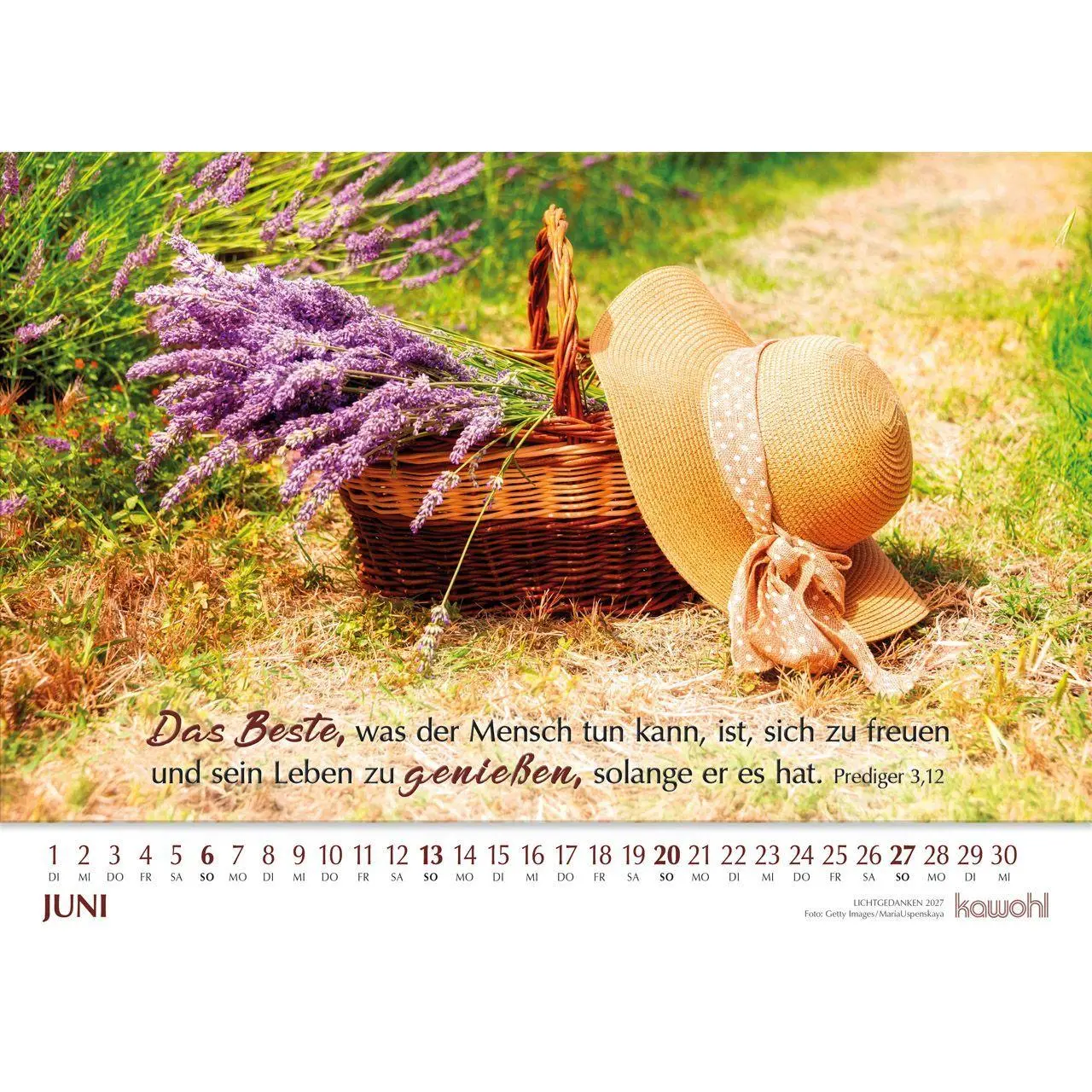 Bild: 9783754865071 | Lichtgedanken 2027 | Kalender | Spiralbindung | 14 S. | Deutsch | 2027