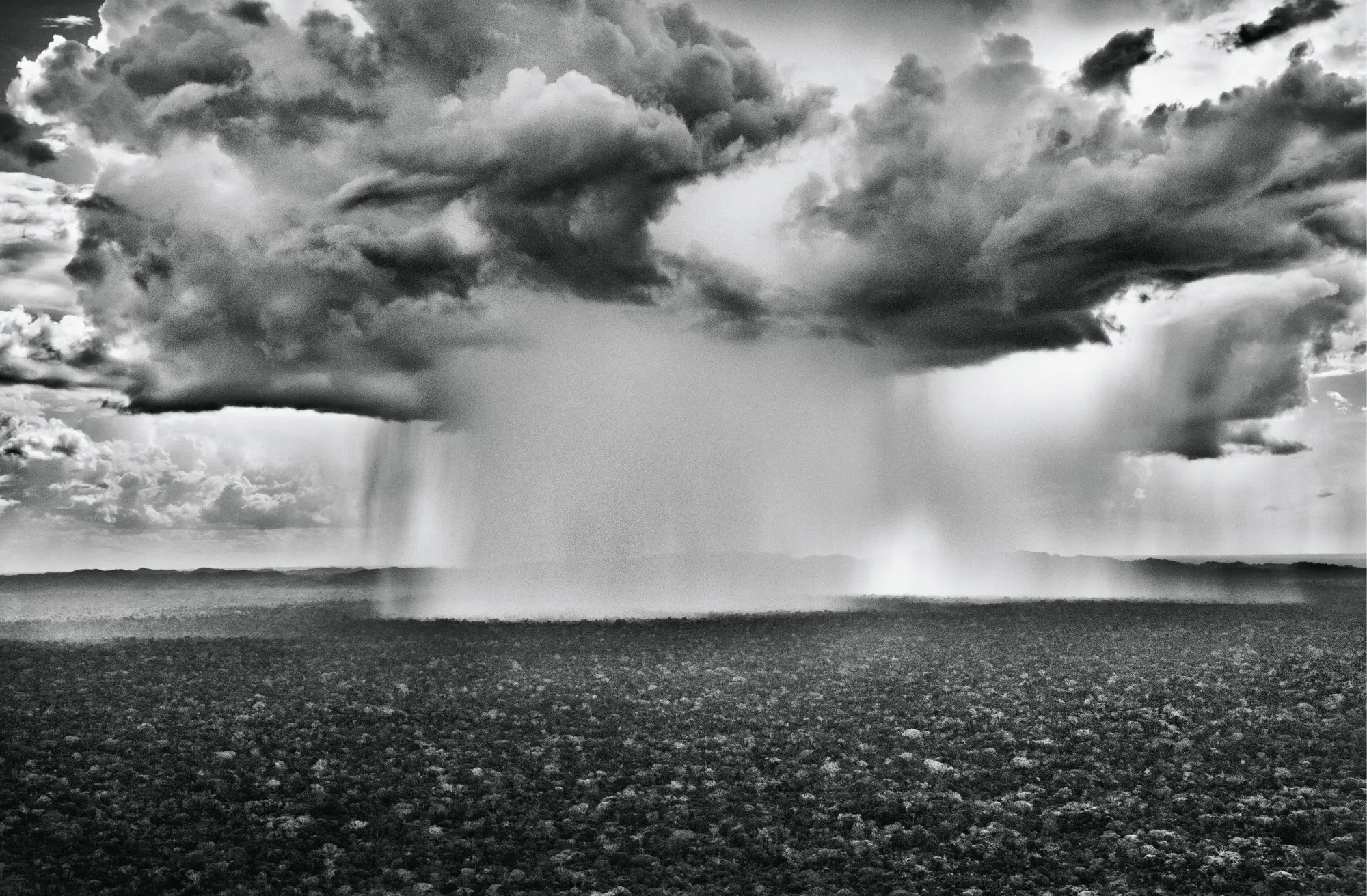 Bild: 9783907315071 | Du908 - das Kulturmagazin. Amazônia. Sebastião Salgado | Oliver Prange