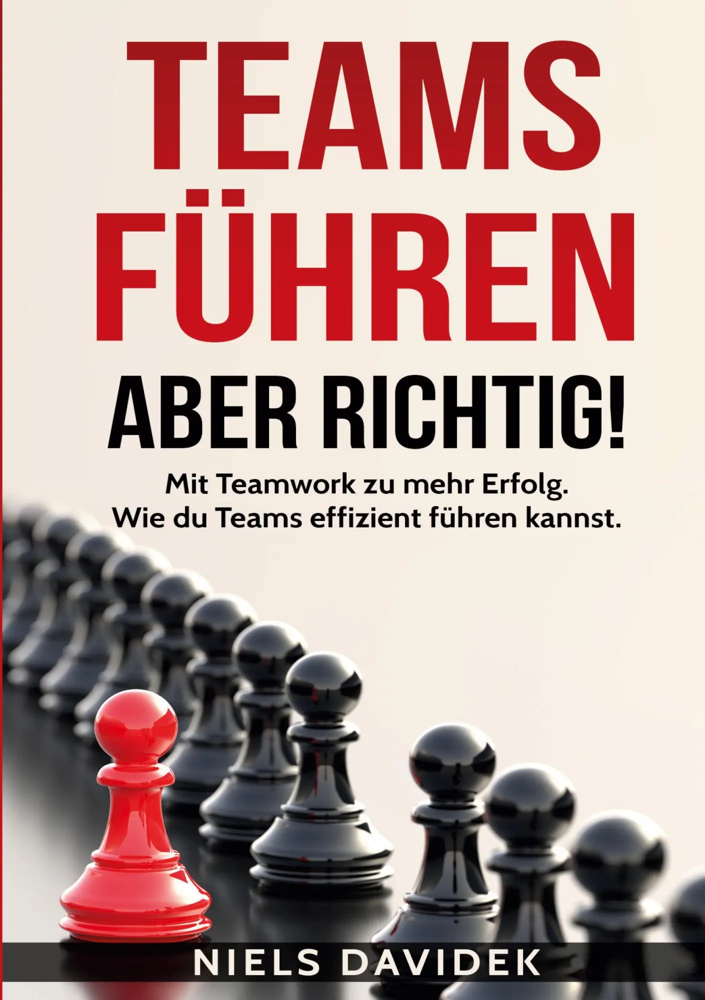 Cover: 9783989355071 | Teams führen - aber richtig! | Niels Davidek | Taschenbuch | 104 S.
