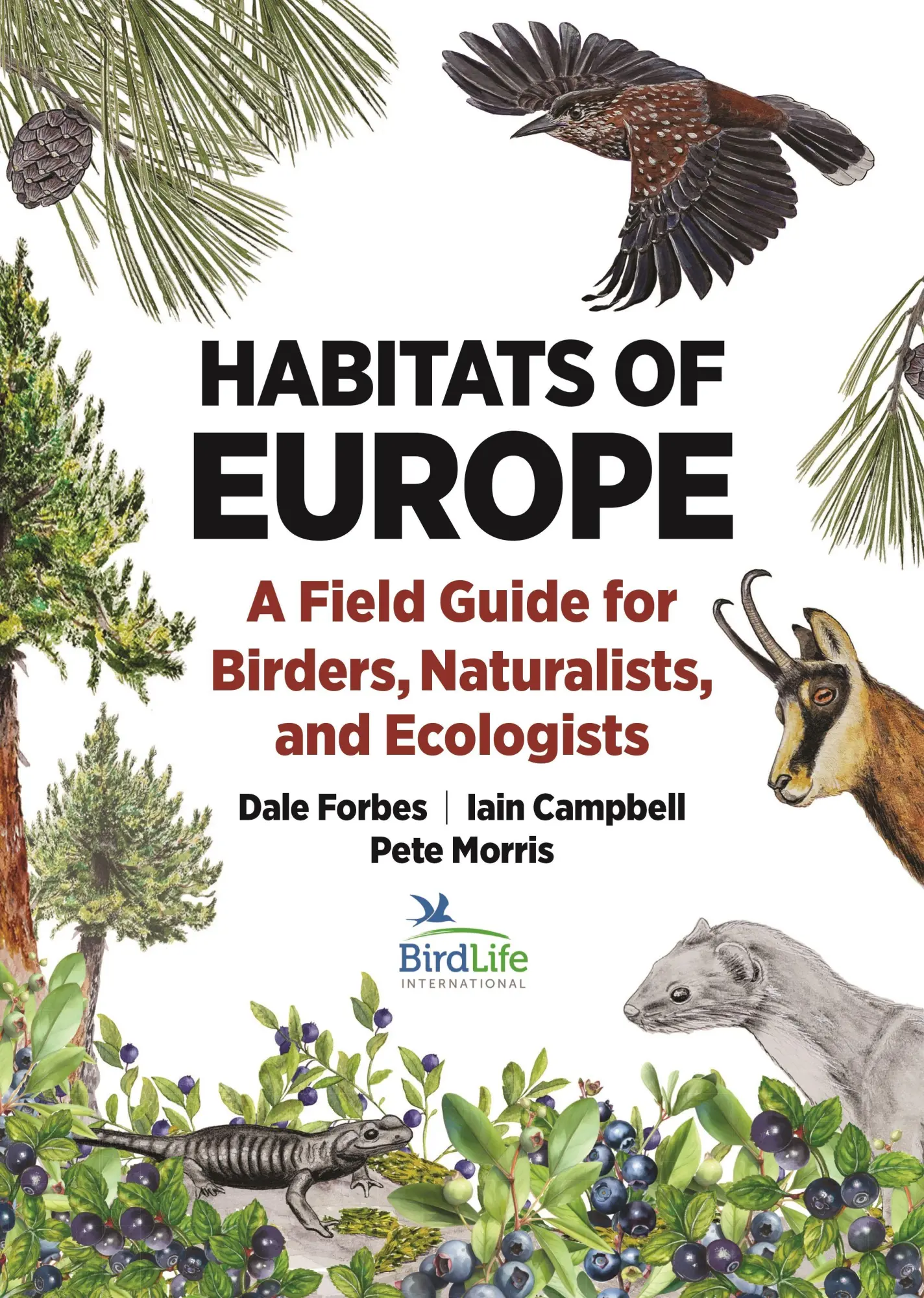Cover: 9780691245171 | Habitats of Europe | Dale Forbes (u. a.) | Taschenbuch | Englisch