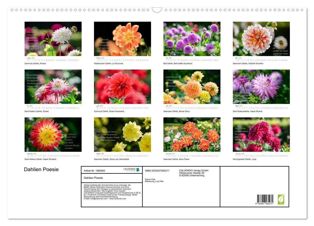 Bild: 9783457465271 | Dahlien Poesie (Wandkalender 2026 DIN A2 quer), CALVENDO...