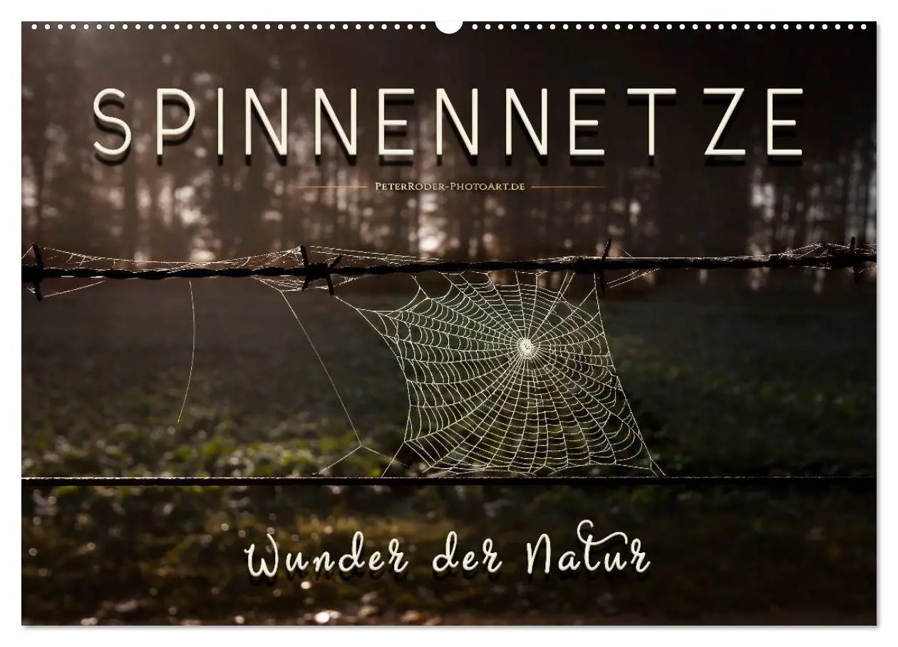 Cover: 9783457845271 | Spinnennetze - Wunder der Natur (Wandkalender 2026 DIN A2 quer),...