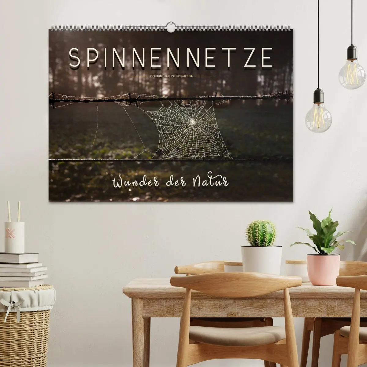 Bild: 9783457845271 | Spinnennetze - Wunder der Natur (Wandkalender 2026 DIN A2 quer),...