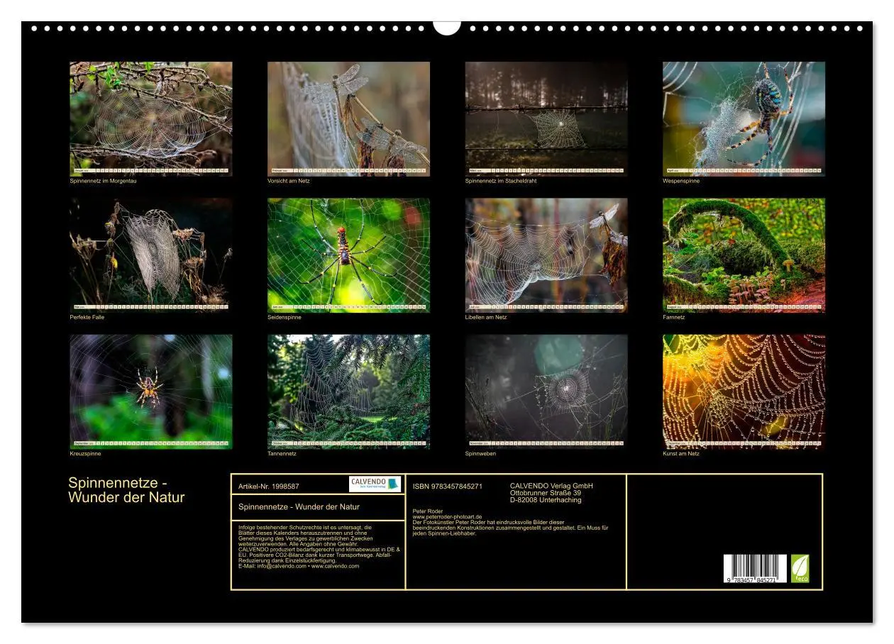 Bild: 9783457845271 | Spinnennetze - Wunder der Natur (Wandkalender 2026 DIN A2 quer),...