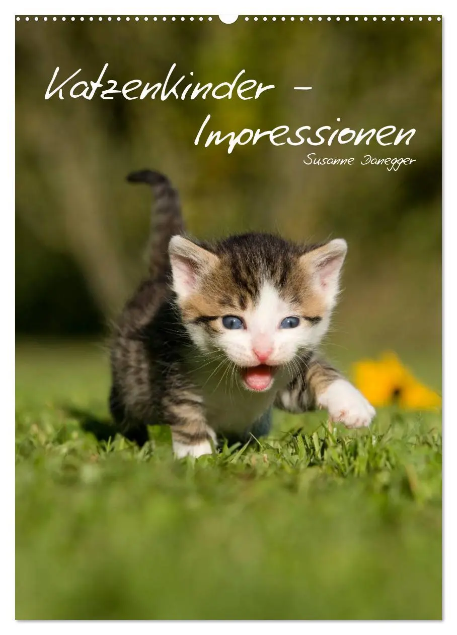 Cover: 9783516485271 | Katzenkinder - Impressionen (Wandkalender 2026 DIN A2 hoch),...