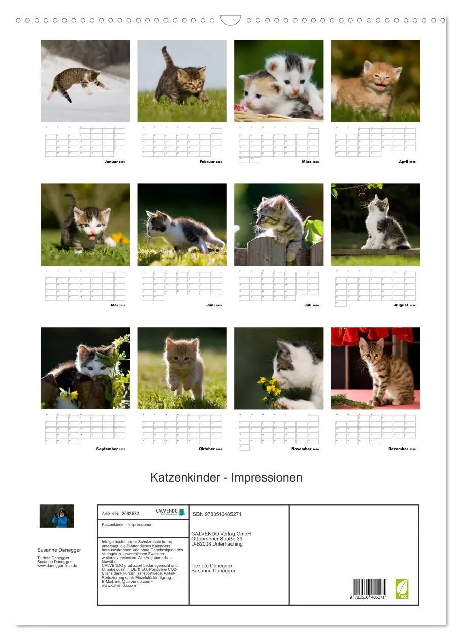 Bild: 9783516485271 | Katzenkinder - Impressionen (Wandkalender 2026 DIN A2 hoch),...