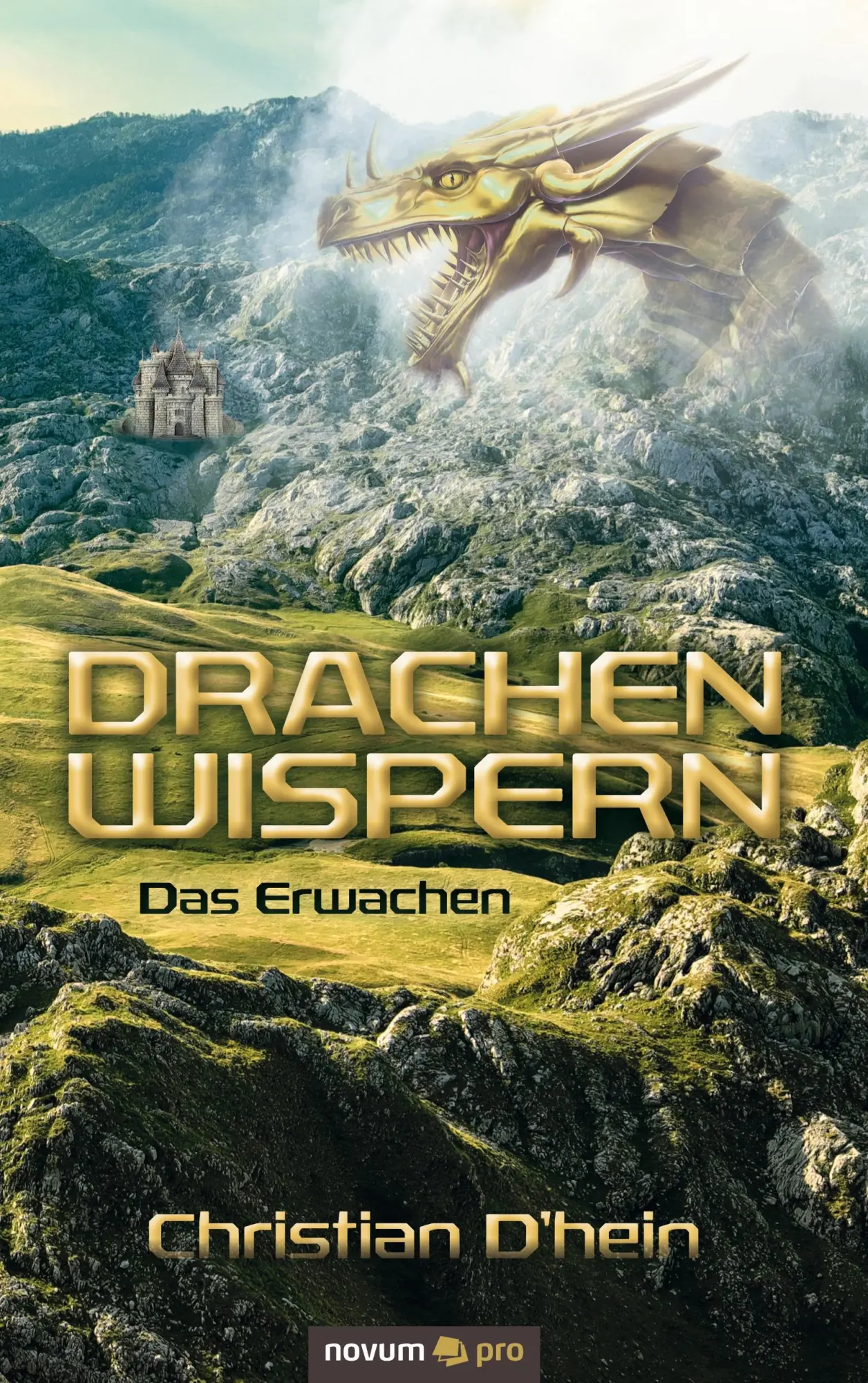 Cover: 9783991075271 | Drachenwispern | Das Erwachen | Christian D'hein | Taschenbuch | 2021