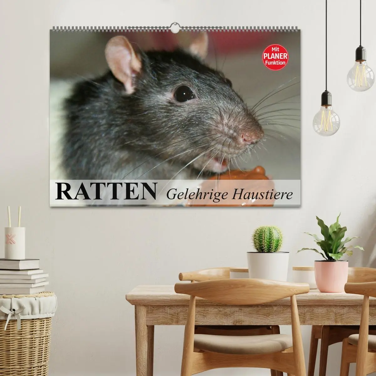 Bild: 9783457995471 | Ratten. Gelehrige Haustiere (Wandkalender 2026 DIN A2 quer),...