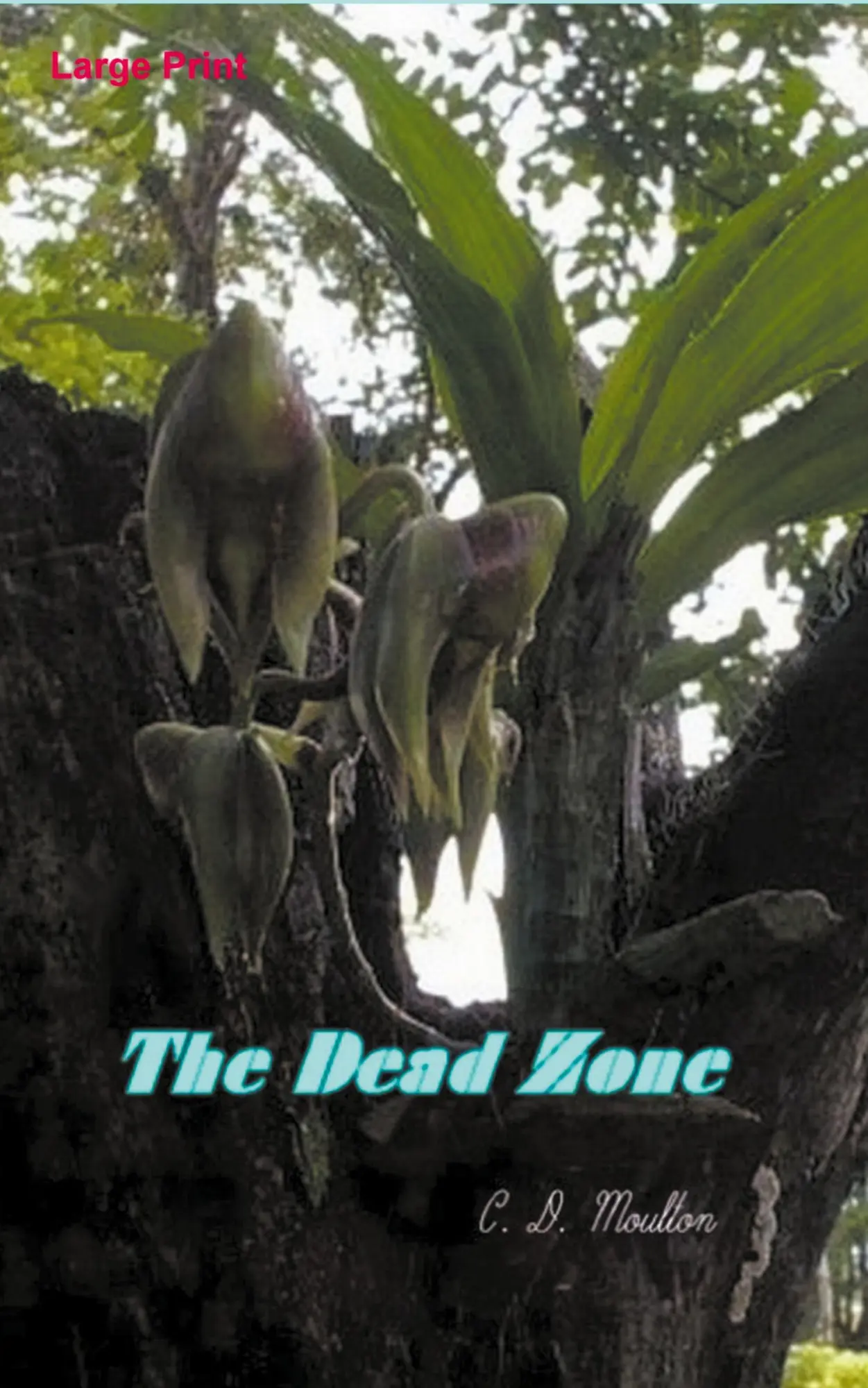 Cover: 9798215755471 | The Dead Zone | C. D. Moulton | Taschenbuch | Englisch | 2022