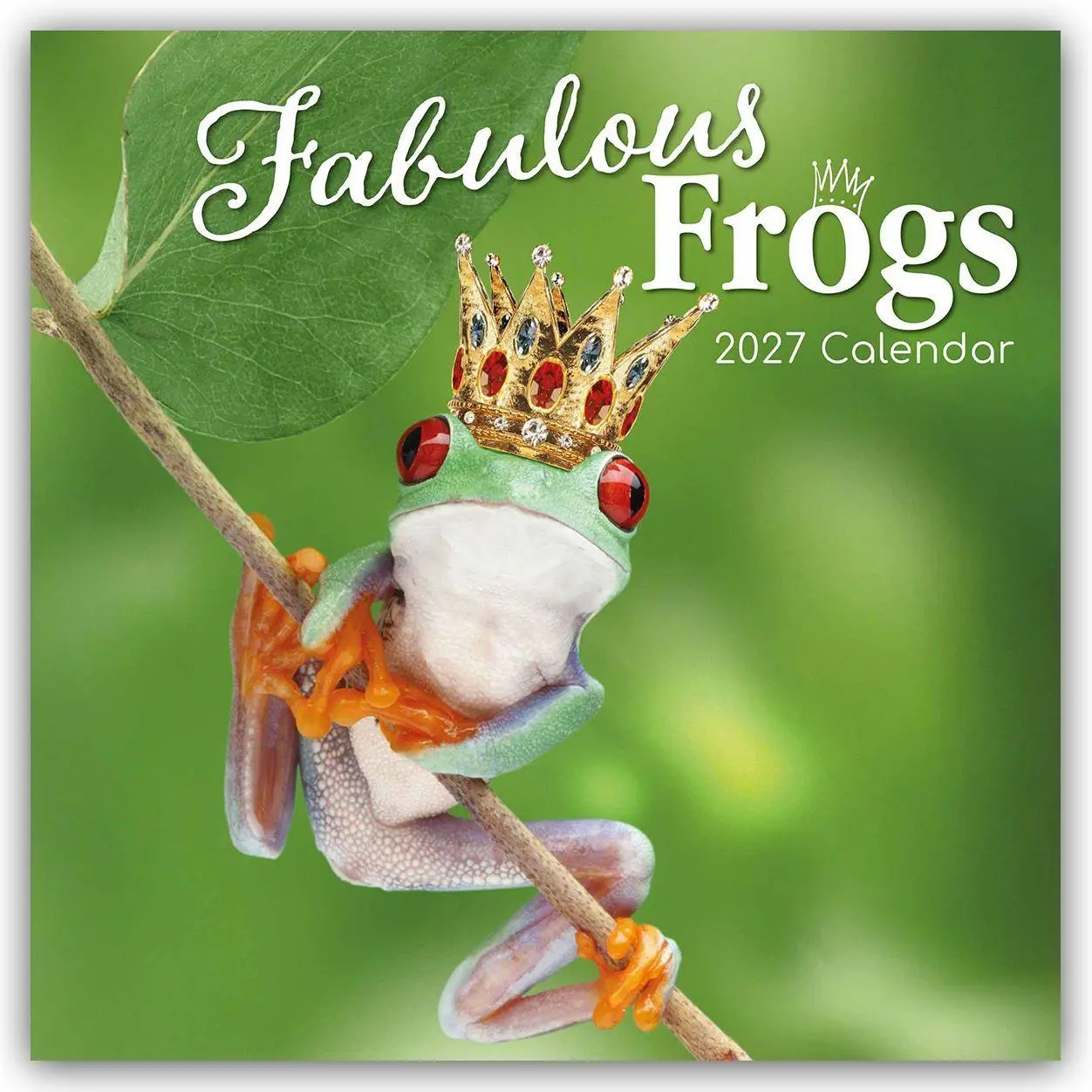 Cover: 9781805975571 | Fabulous Frogs - Fabelhafte Frösche 2027 - 16-Monatskalender | Ltd