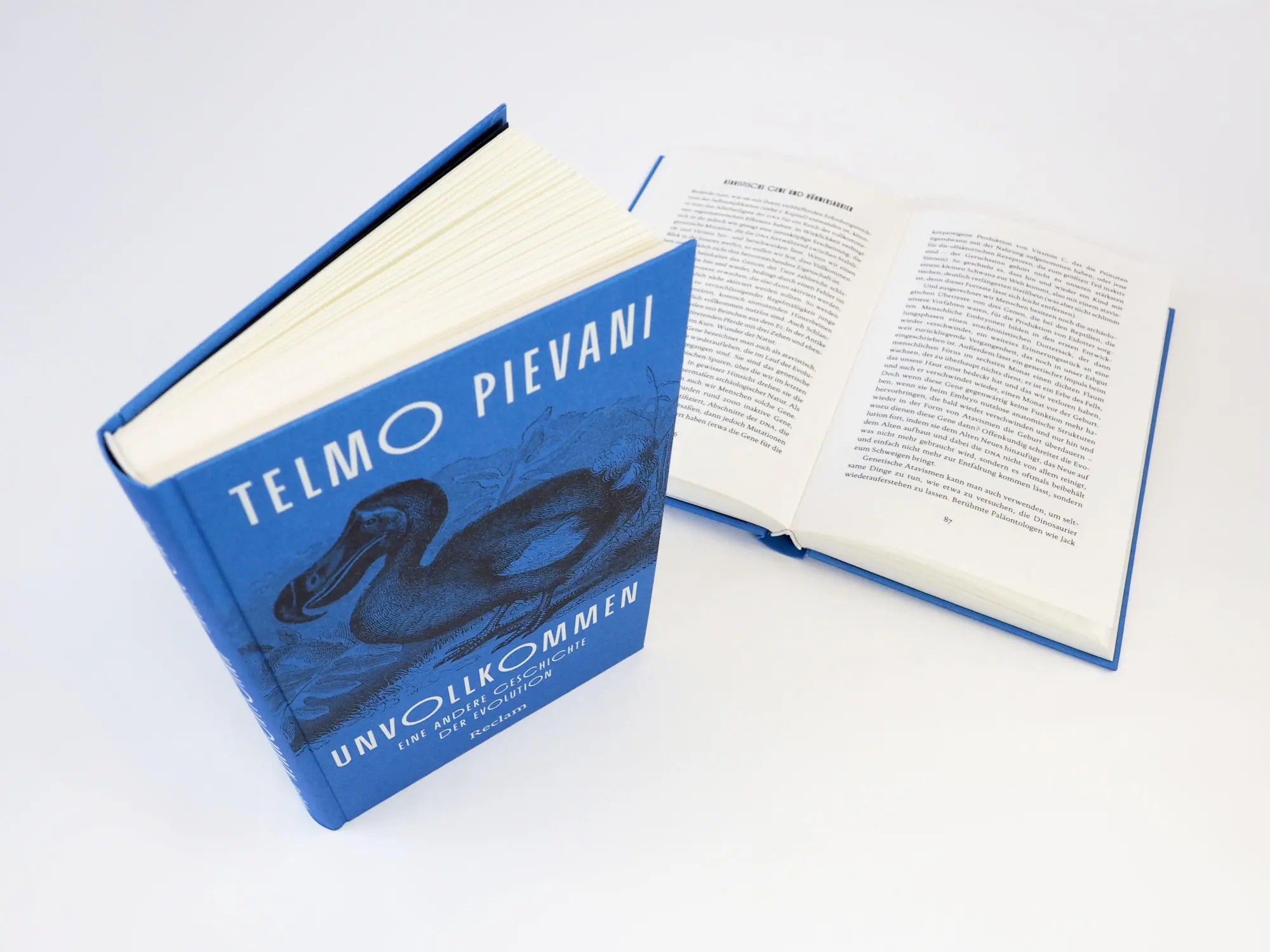 Bild: 9783150115671 | Unvollkommen. Eine andere Geschichte der Evolution | Telmo Pievani