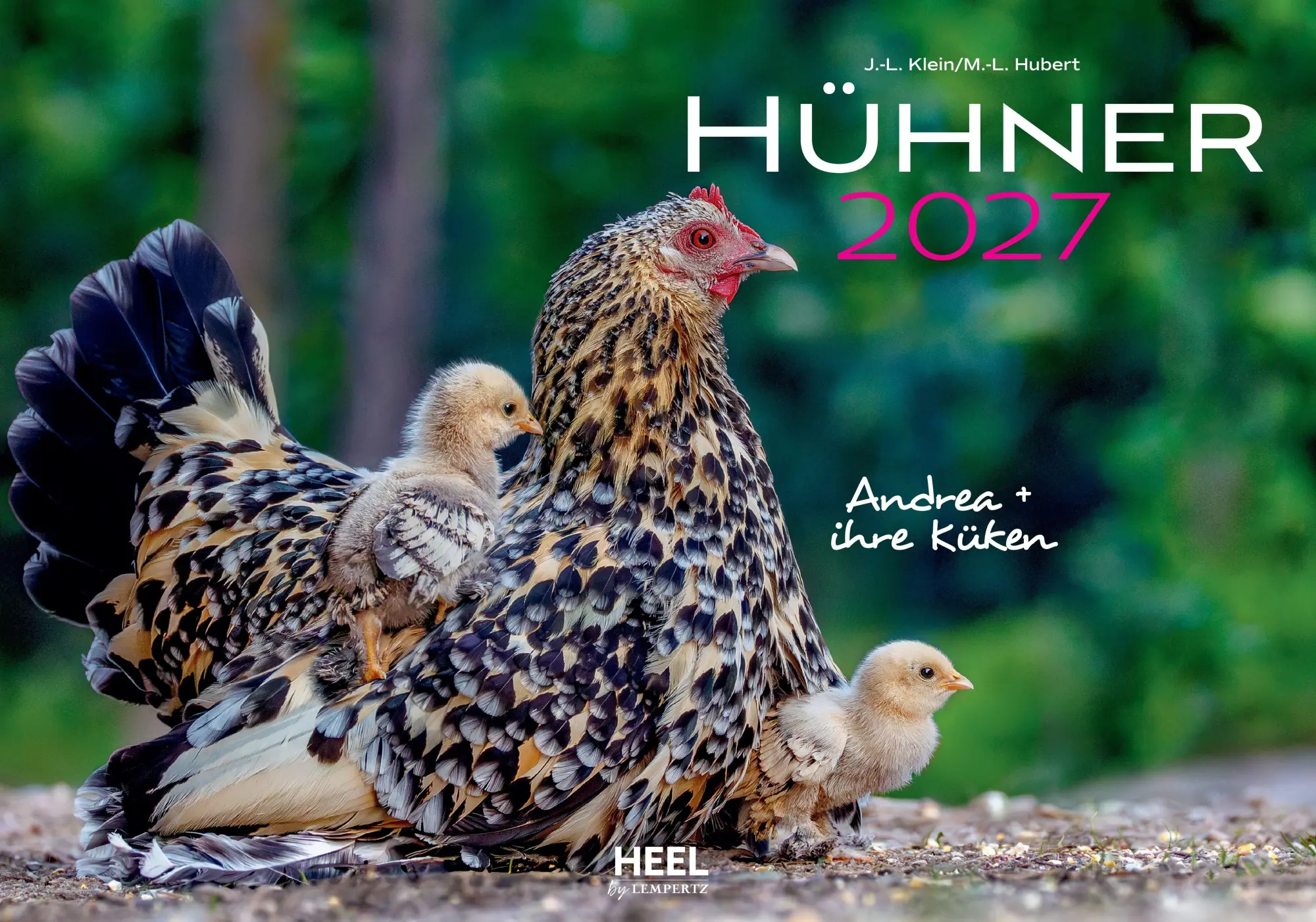 Cover: 9783960585671 | Hühner Kalender 2027 | Der Tierkalender mit den charmanten Namen