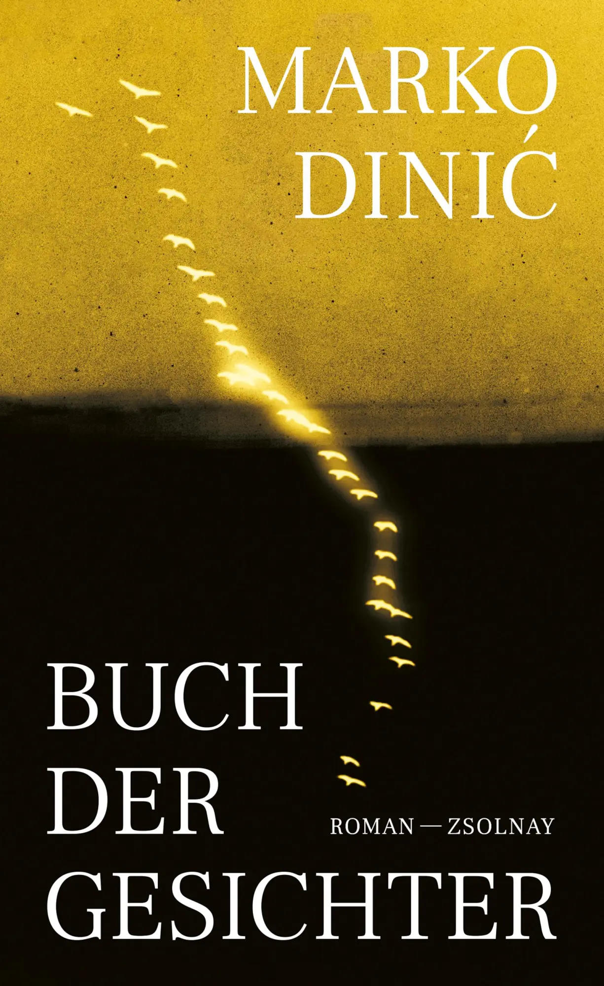 Cover: 9783552075771 | Buch der Gesichter | Roman | Marko Dinic | Buch | 464 S. | Deutsch