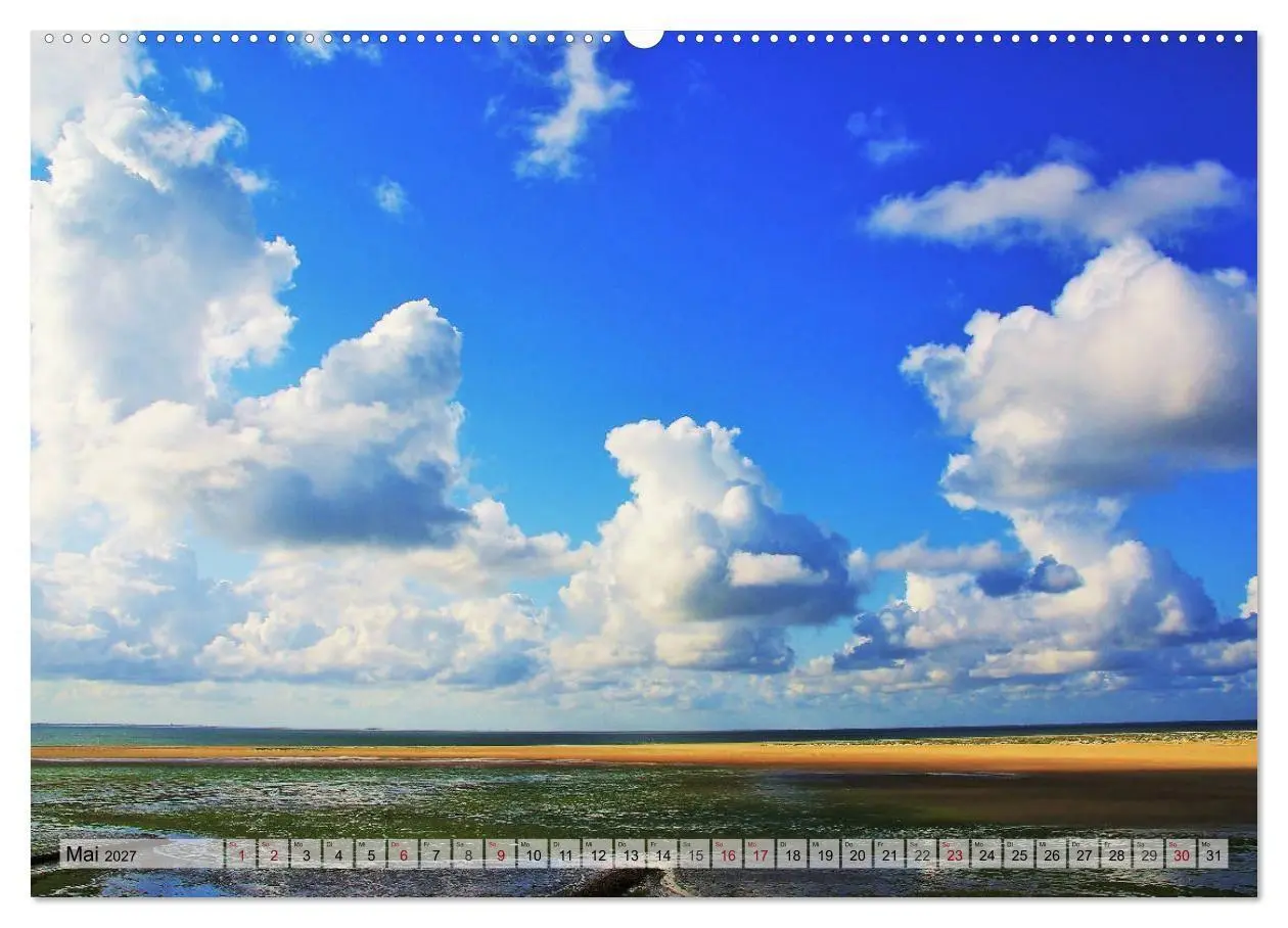 Bild: 9783569835771 | Typisch Amrum! (Wandkalender 2027 DIN A2 quer), CALVENDO...