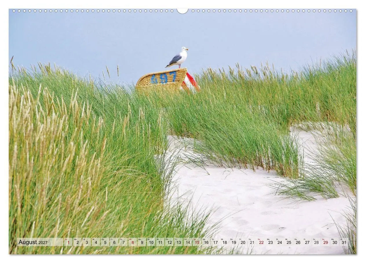 Bild: 9783569835771 | Typisch Amrum! (Wandkalender 2027 DIN A2 quer), CALVENDO...